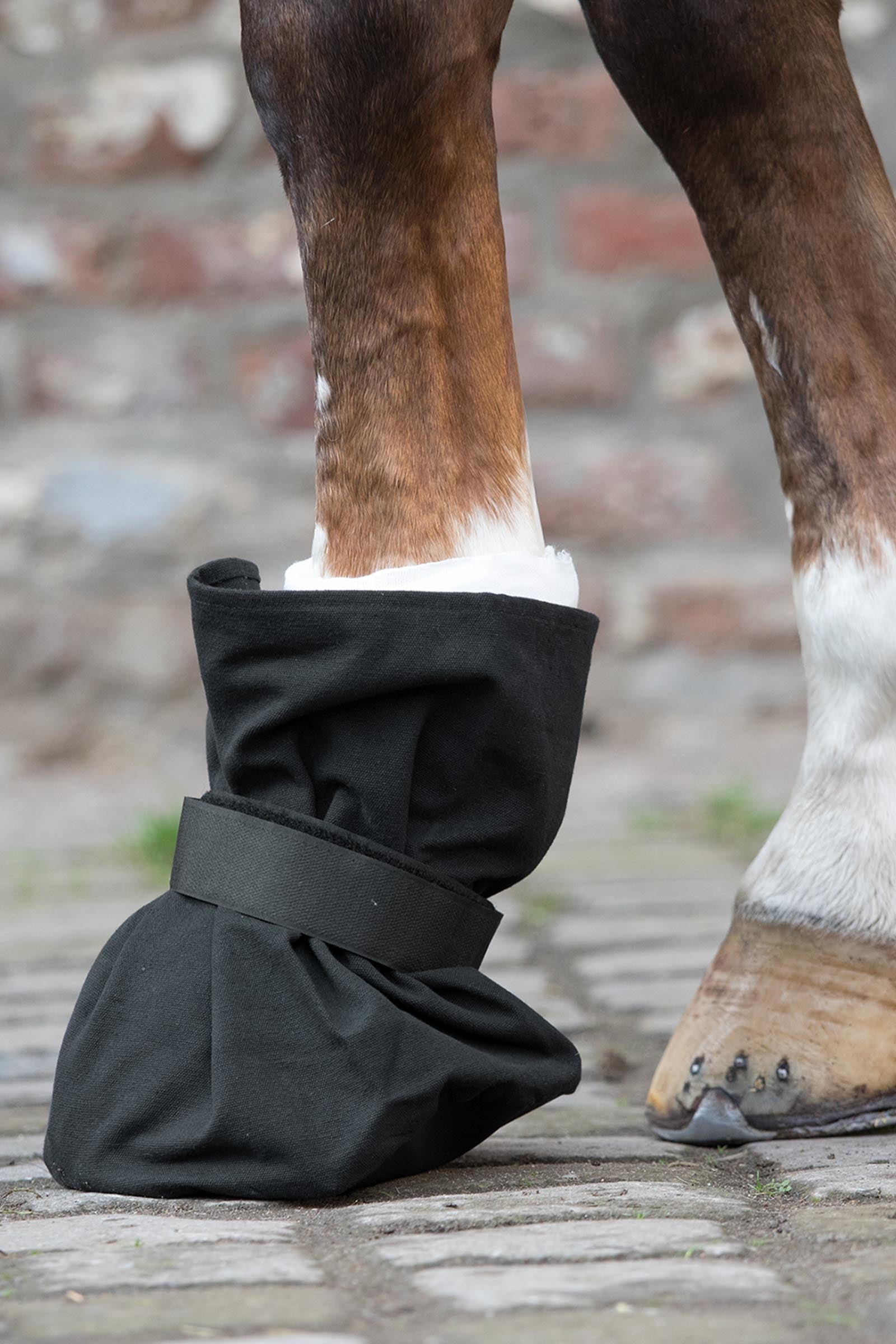 Waldhausen Cover For Hoof Bandage Leg Protection & Hoof Protection for Horses