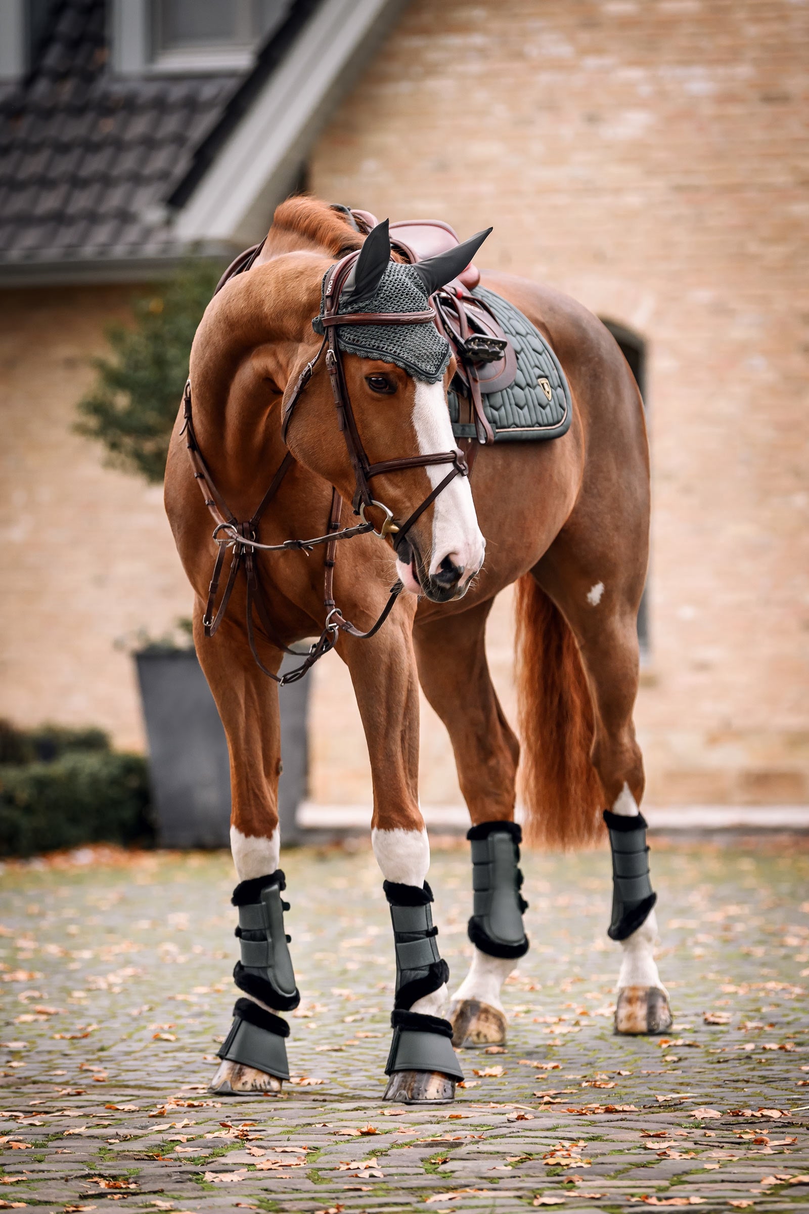 Cavallo CavalJoca Soft Boots Leg Protection & Hoof Protection for Horses