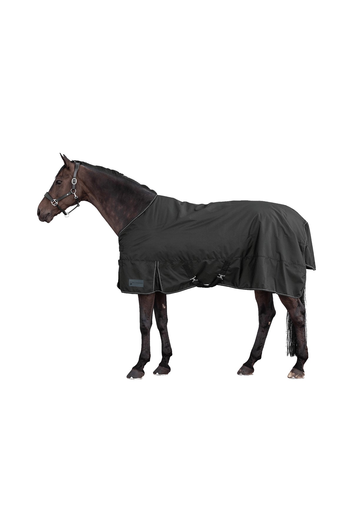 Waldhausen NORDIC 600D Manta de Exterior 50 g Mantas Caballo