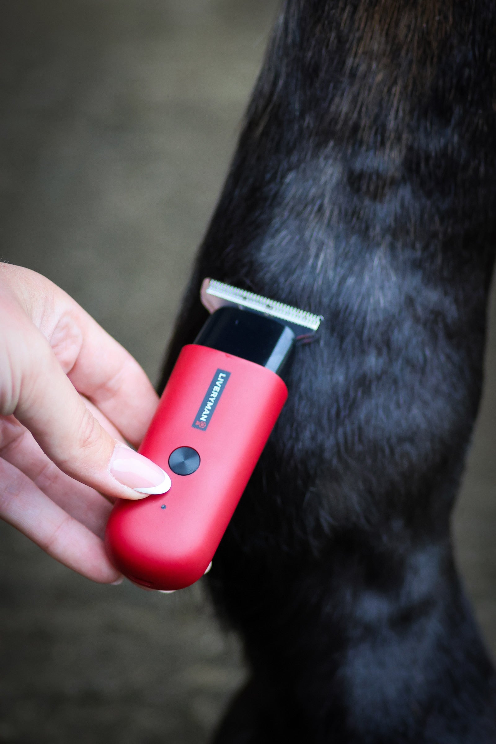 Liveryman Robin Equine Trimmer Horse Clipping & Trimming Tools