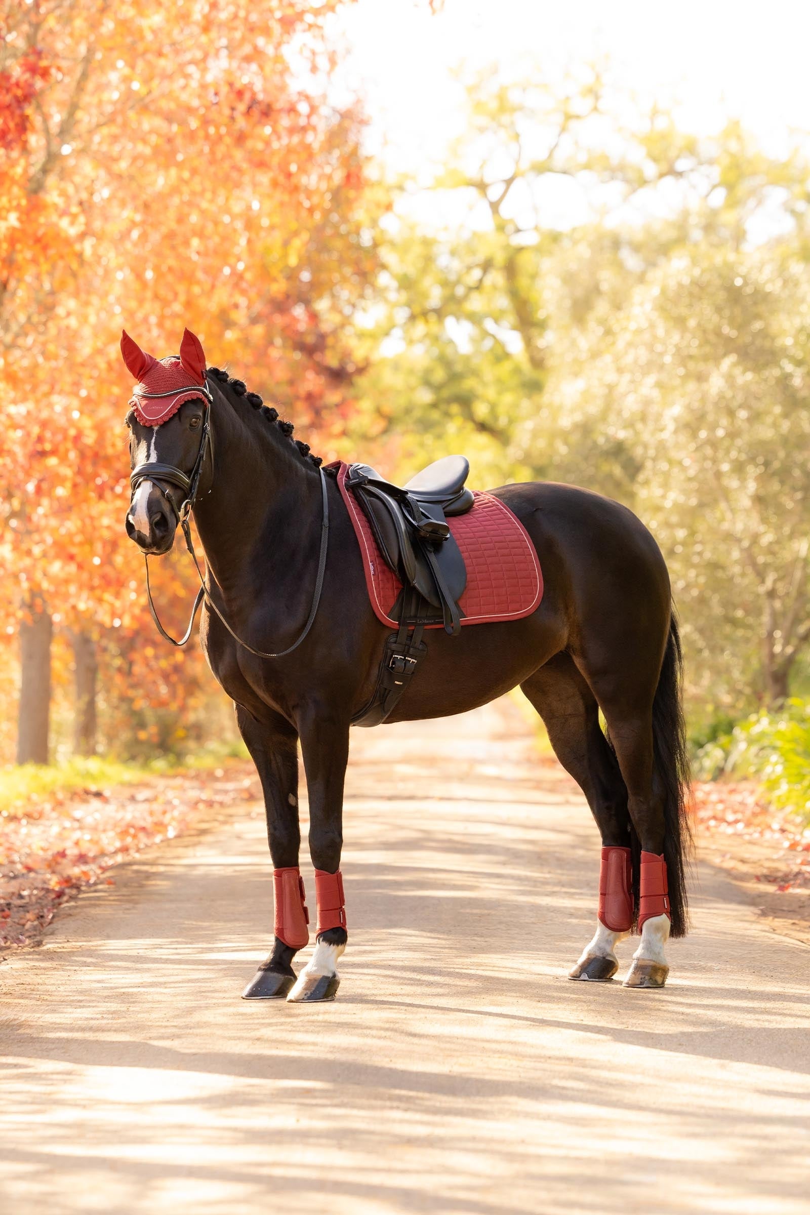 LeMieux Suede Square Dressage Saddle Pad Saddle Pads