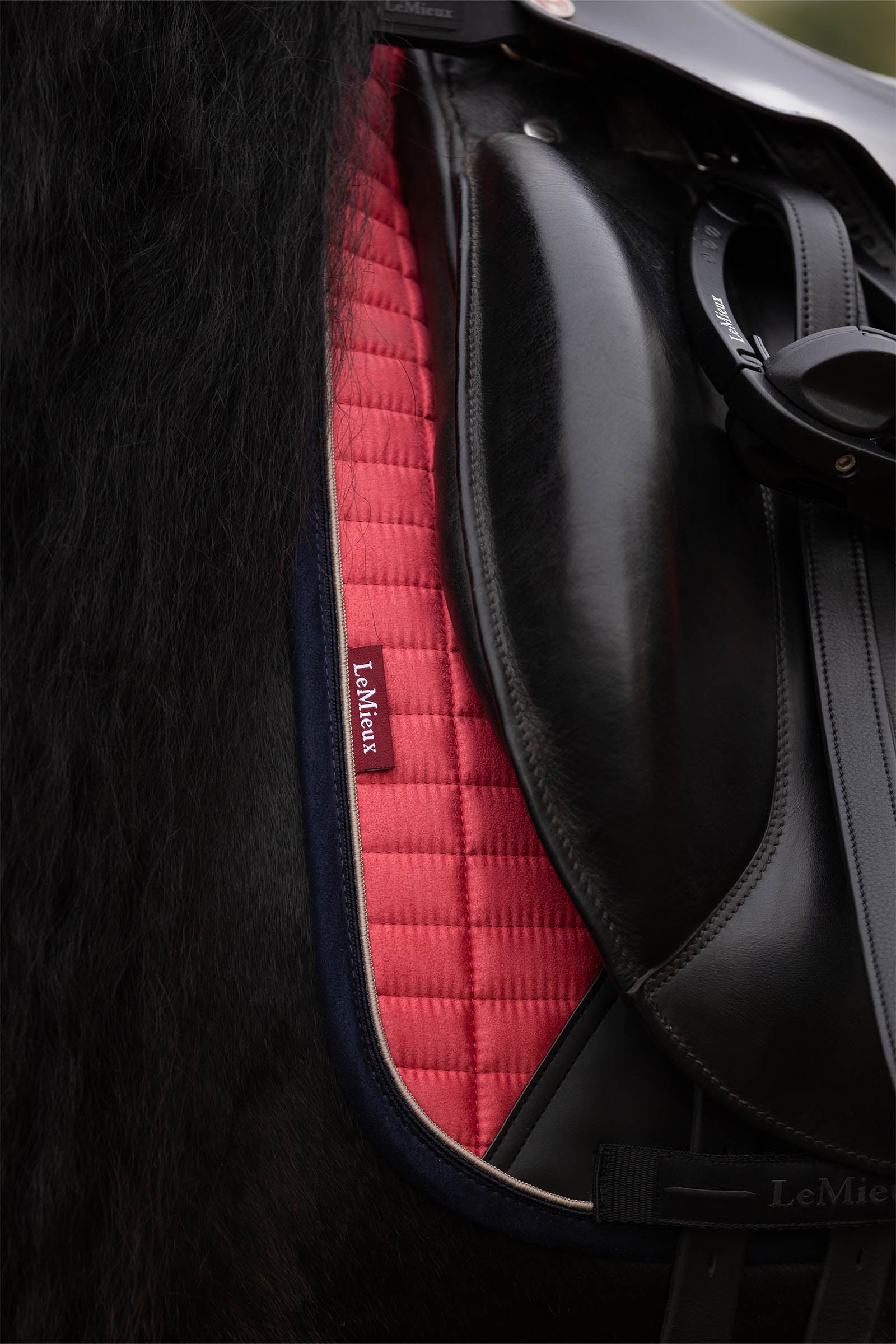 LeMieux Suede Square Dressage Saddle Pad Saddle Pads