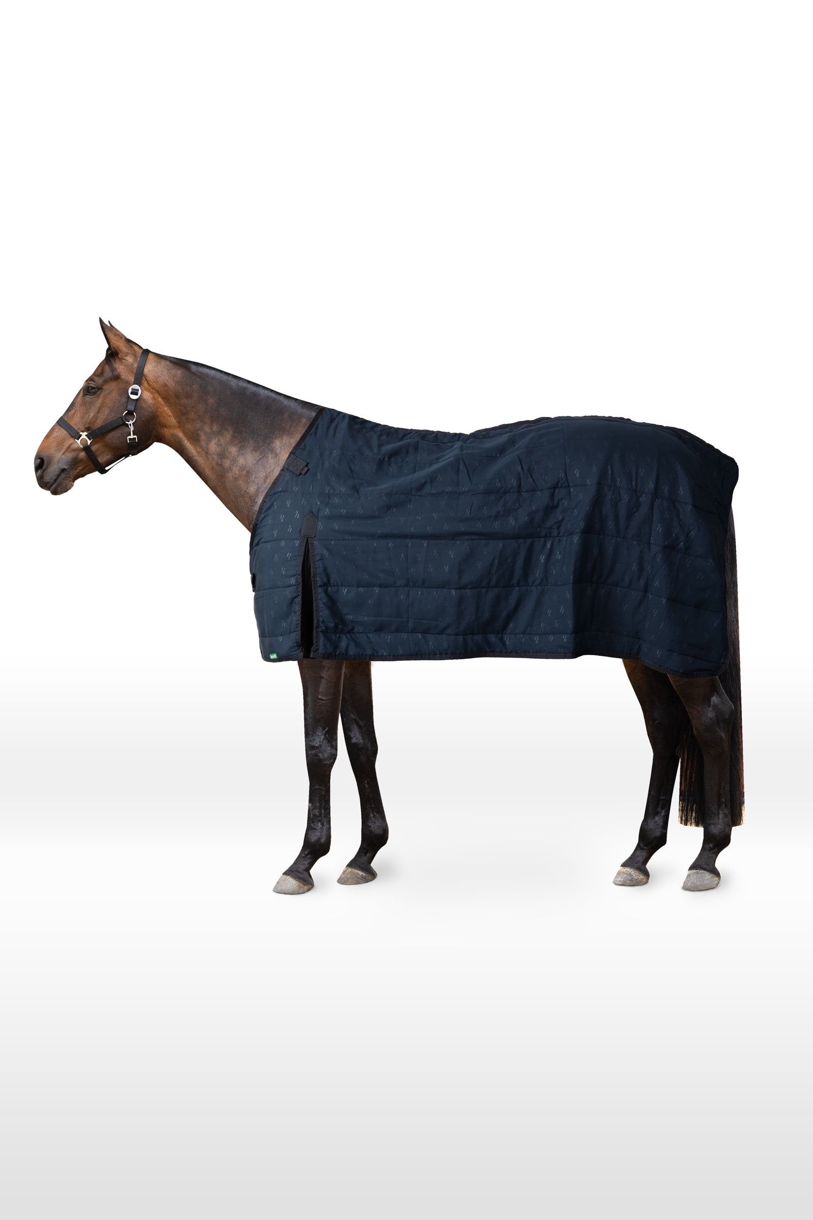 Horze forro, 100 g Mantas Caballo