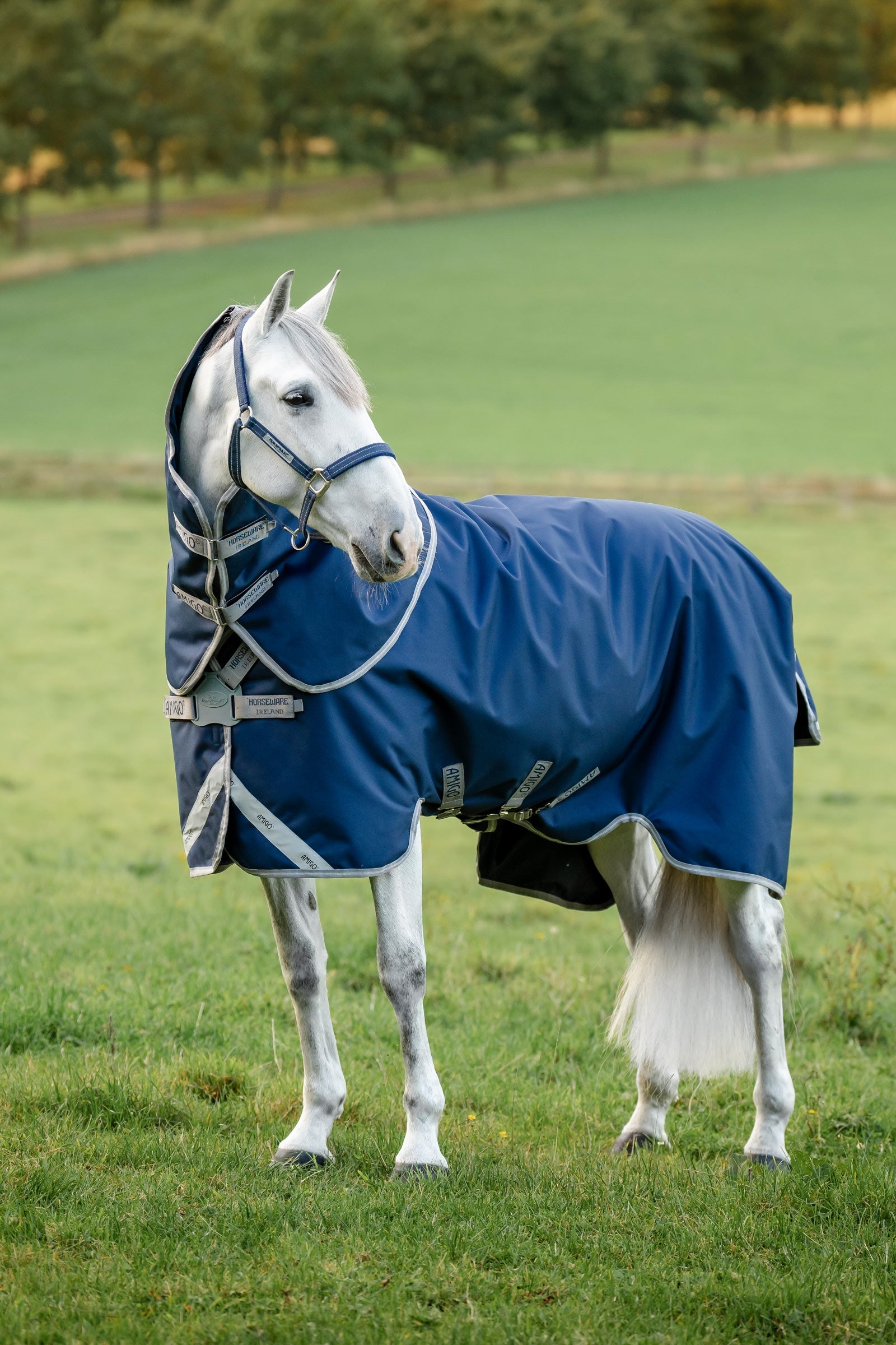 Horseware Amigo 1200D FieldSafe Plus Turnout Rug, 250 g Mantas Caballo