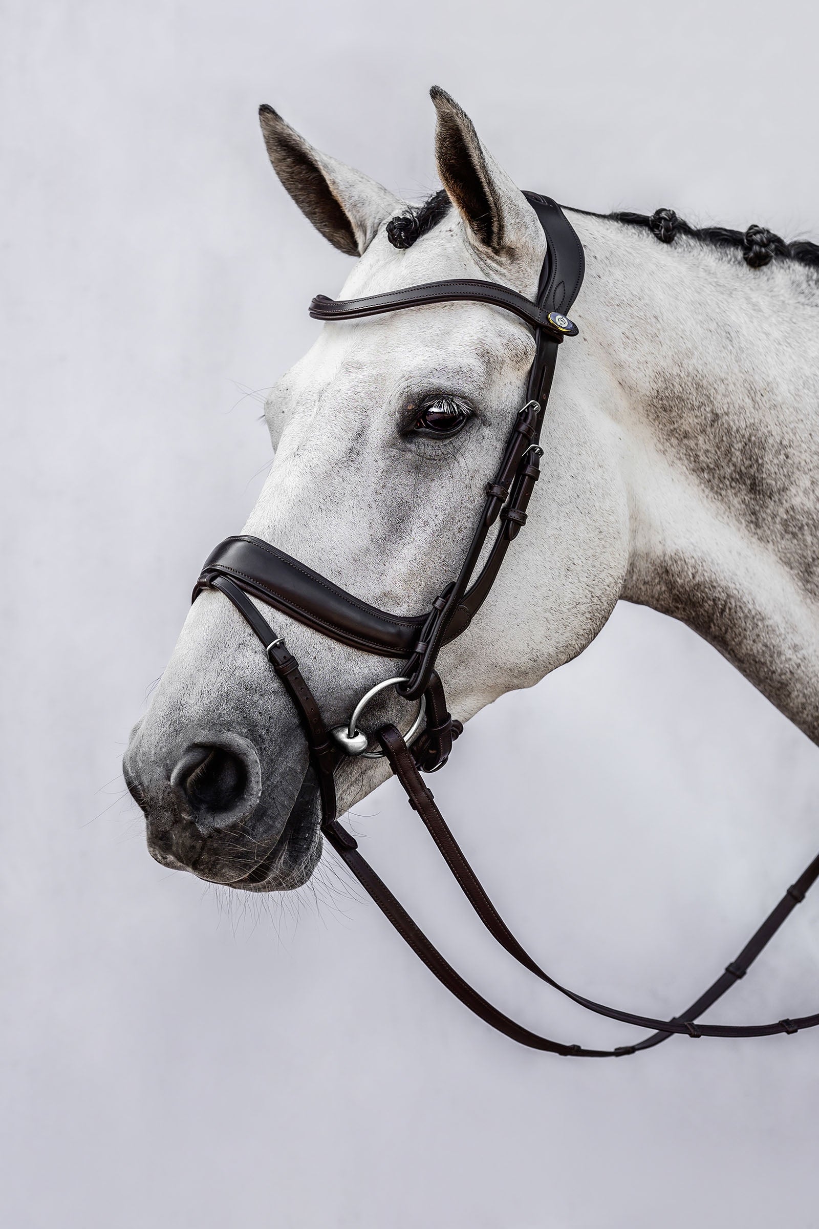 PS of Sweden bridle Paladin Bridles & Reins