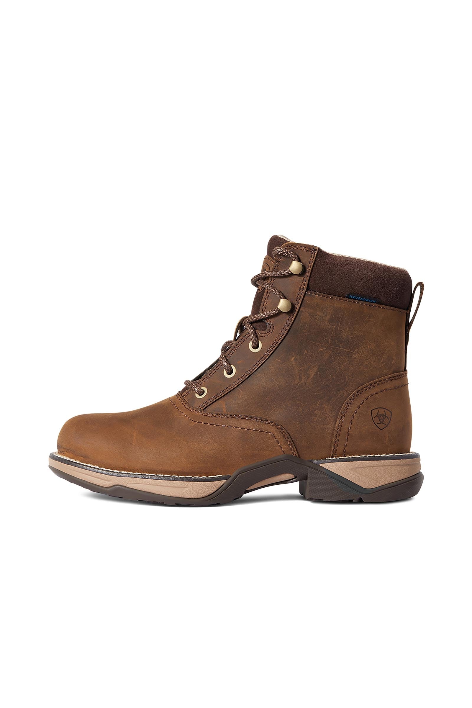 Ariat Anthem H2O Women's Round Toe Lacer Waterproof Boots Riding Boots & Riding Shoes