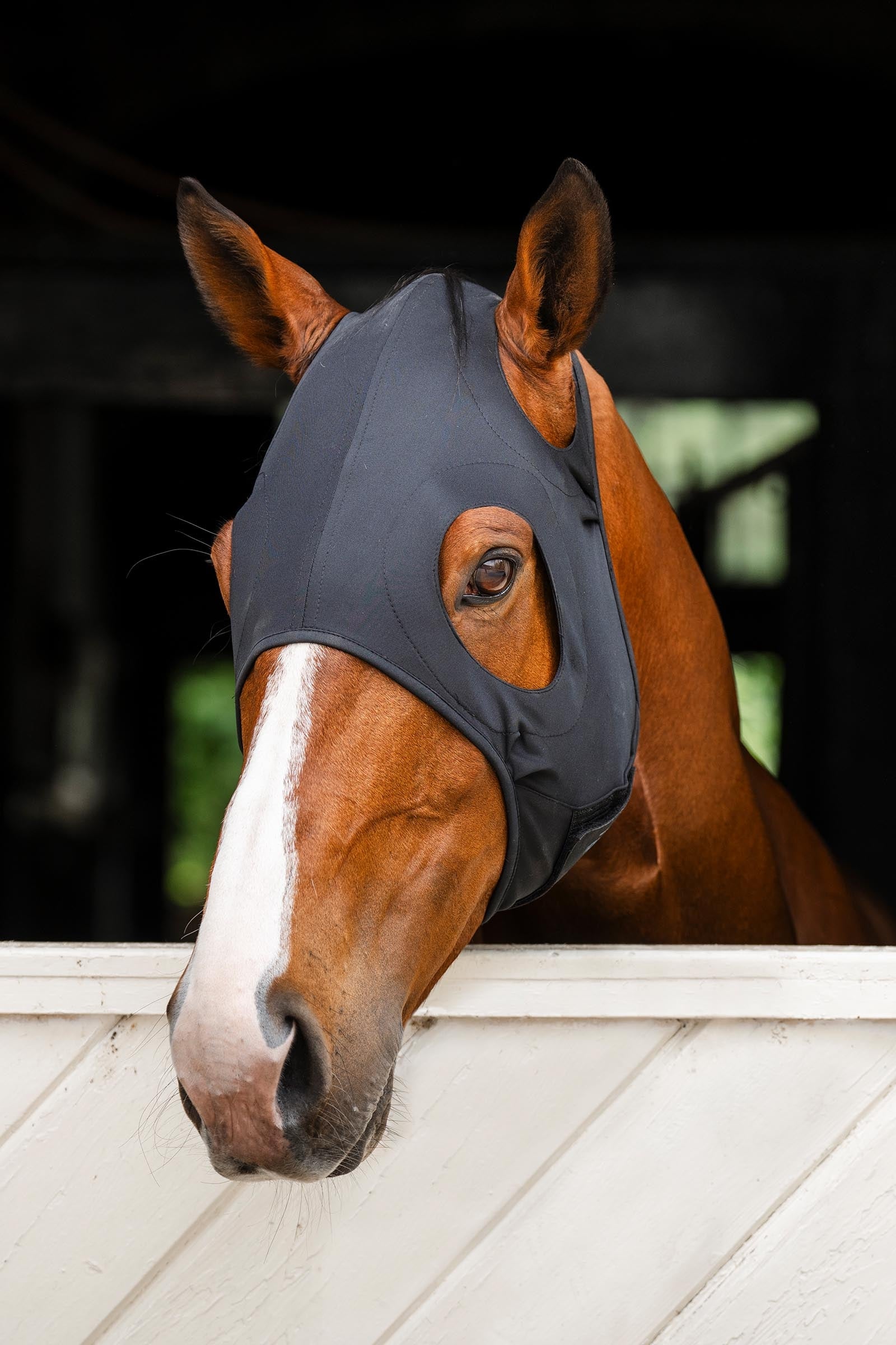 Horseware Ionic máscara calmante Protección Antimoscas para Caballos
