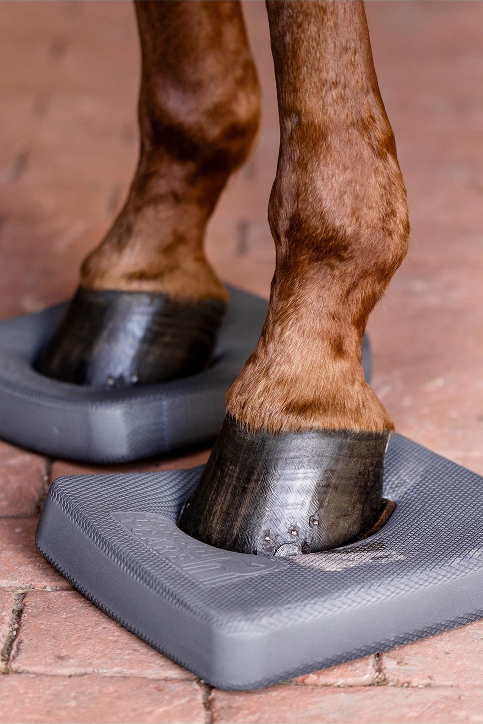 Waldhausen Health + Care Balance Pads Leg Protection & Hoof Protection for Horses
