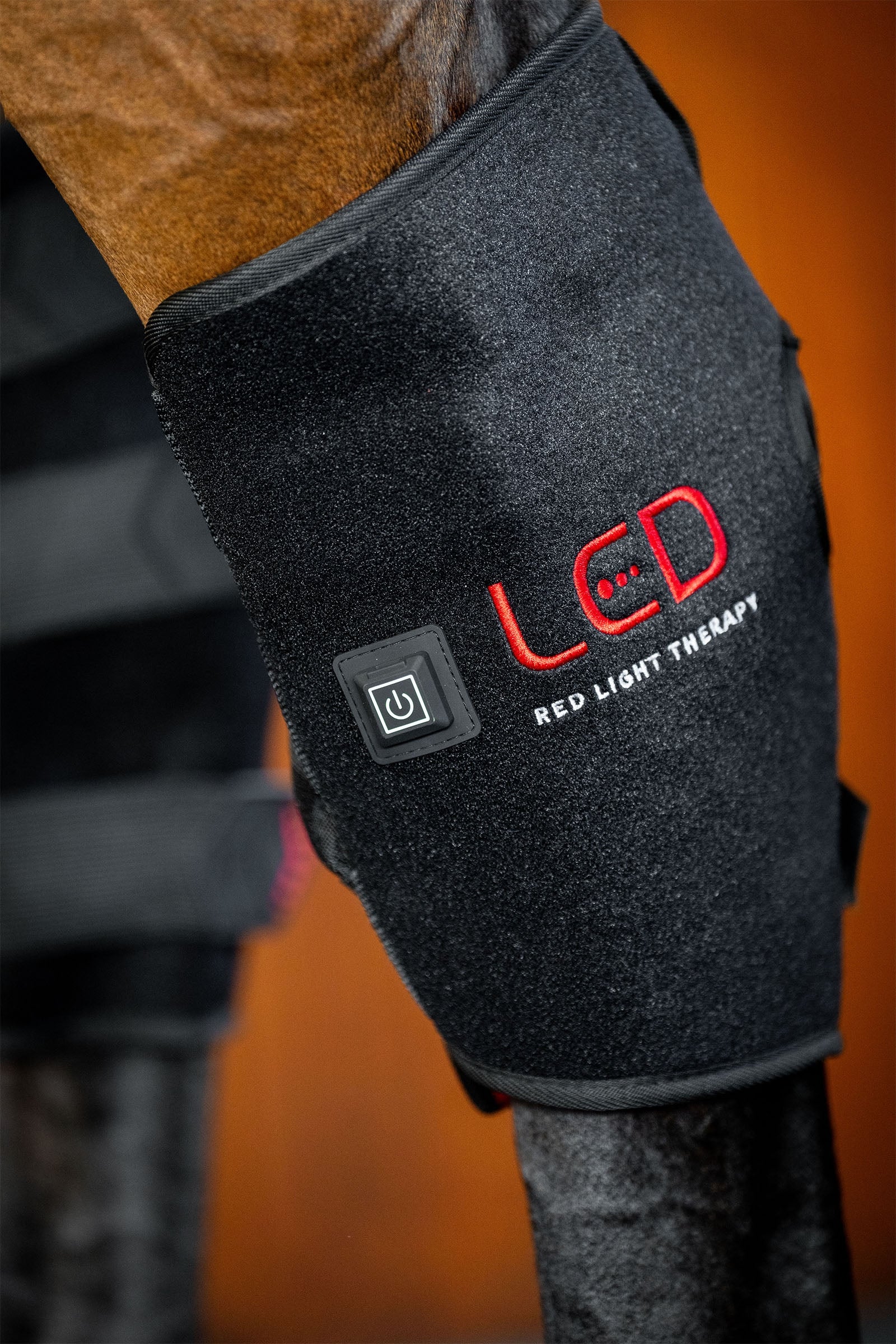 Horseware protector terapéutico LED de luz roja para corvejón (1 ud.) Leg & Hoof Protection
