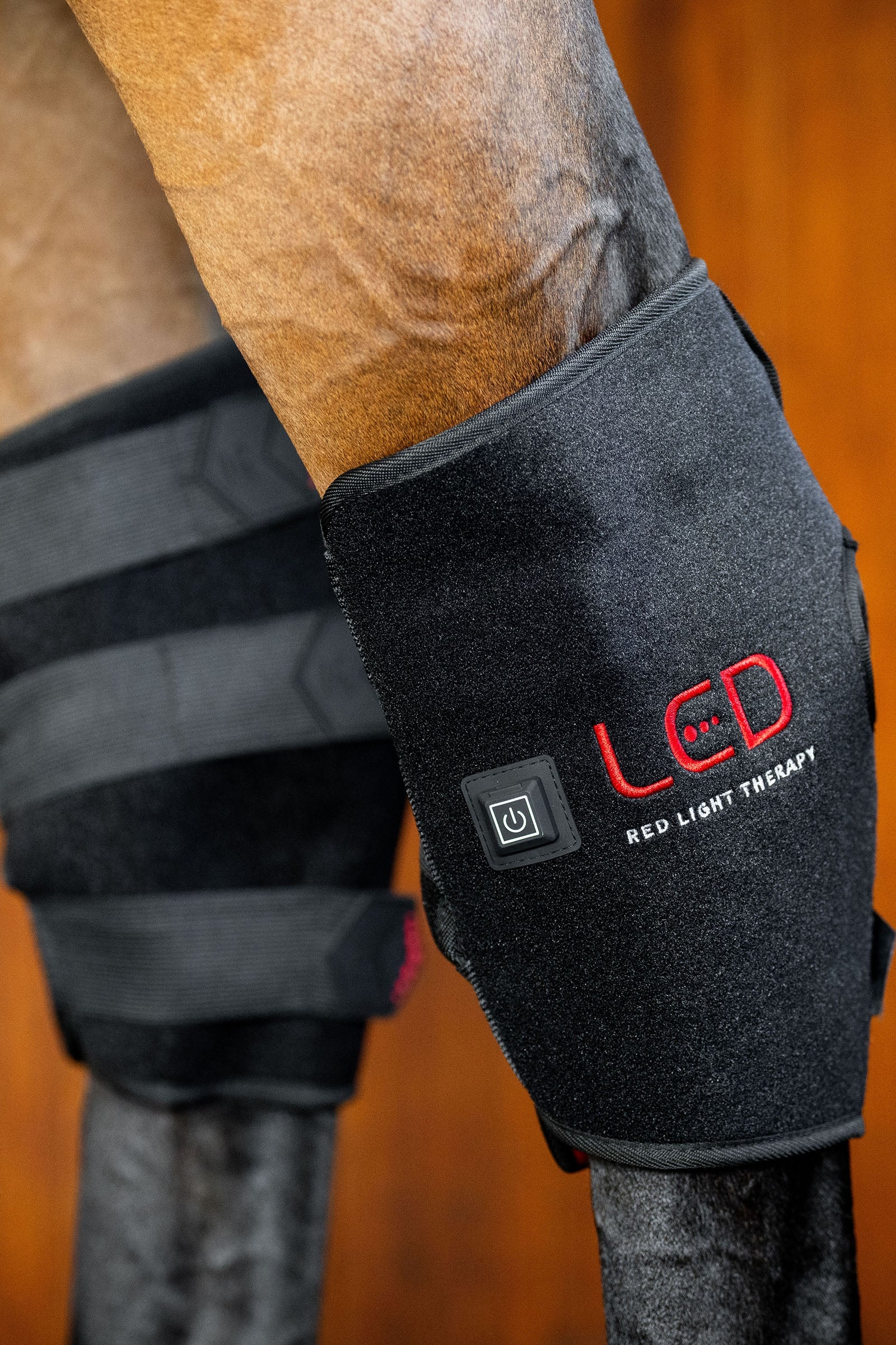 Horseware LED Red Light Therapy Hock Boot (1 pc.) Leg & Hoof Protection