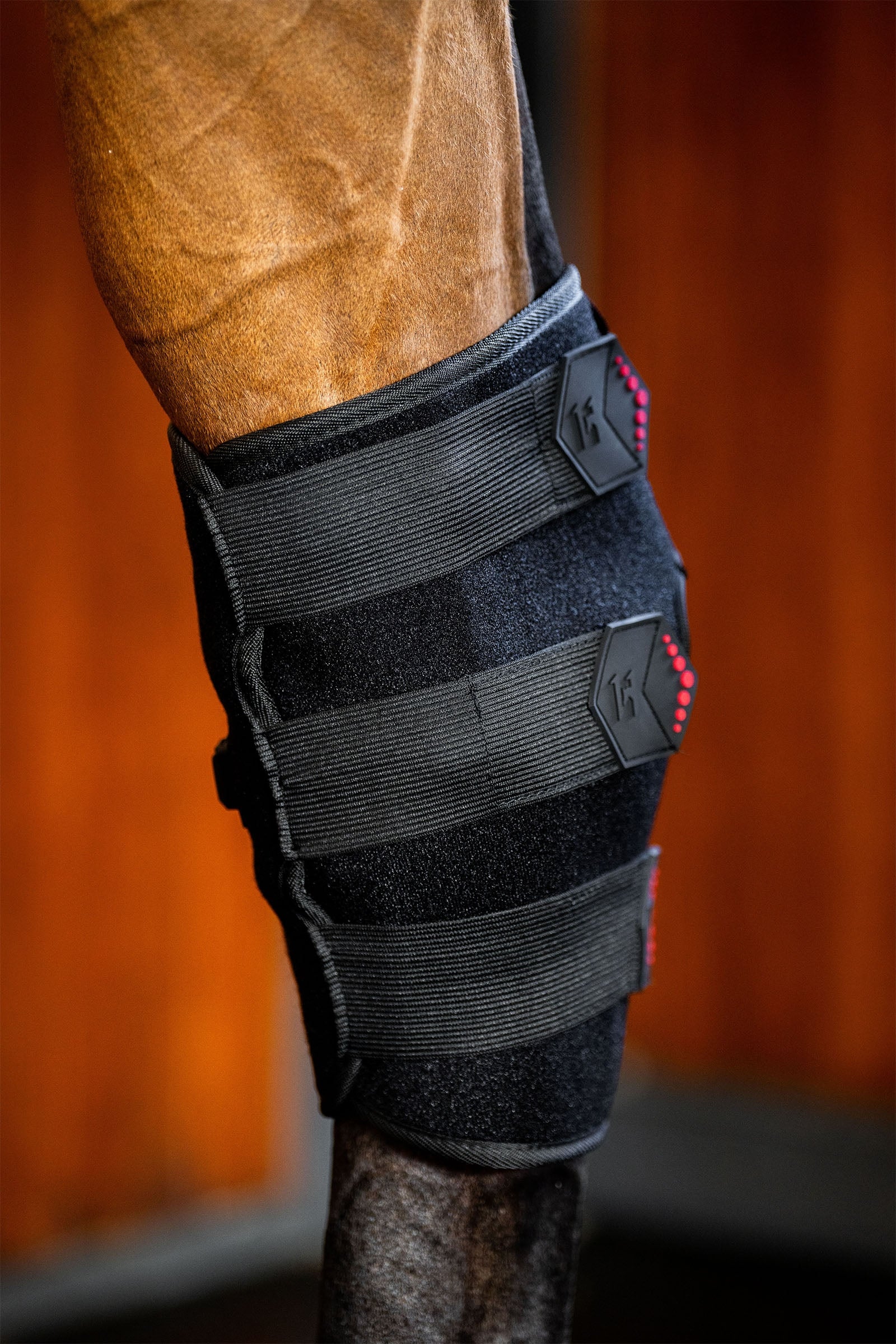 Horseware LED Red Light Therapy Hock Boot (1 pc.) Leg Protection & Hoof Protection for Horses