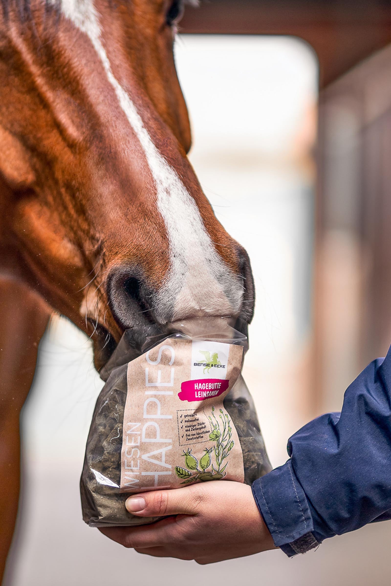 Bense & Eicke Meadows Happies Rosehip Flaxseed, 1kg Horse Feed & Nutrition