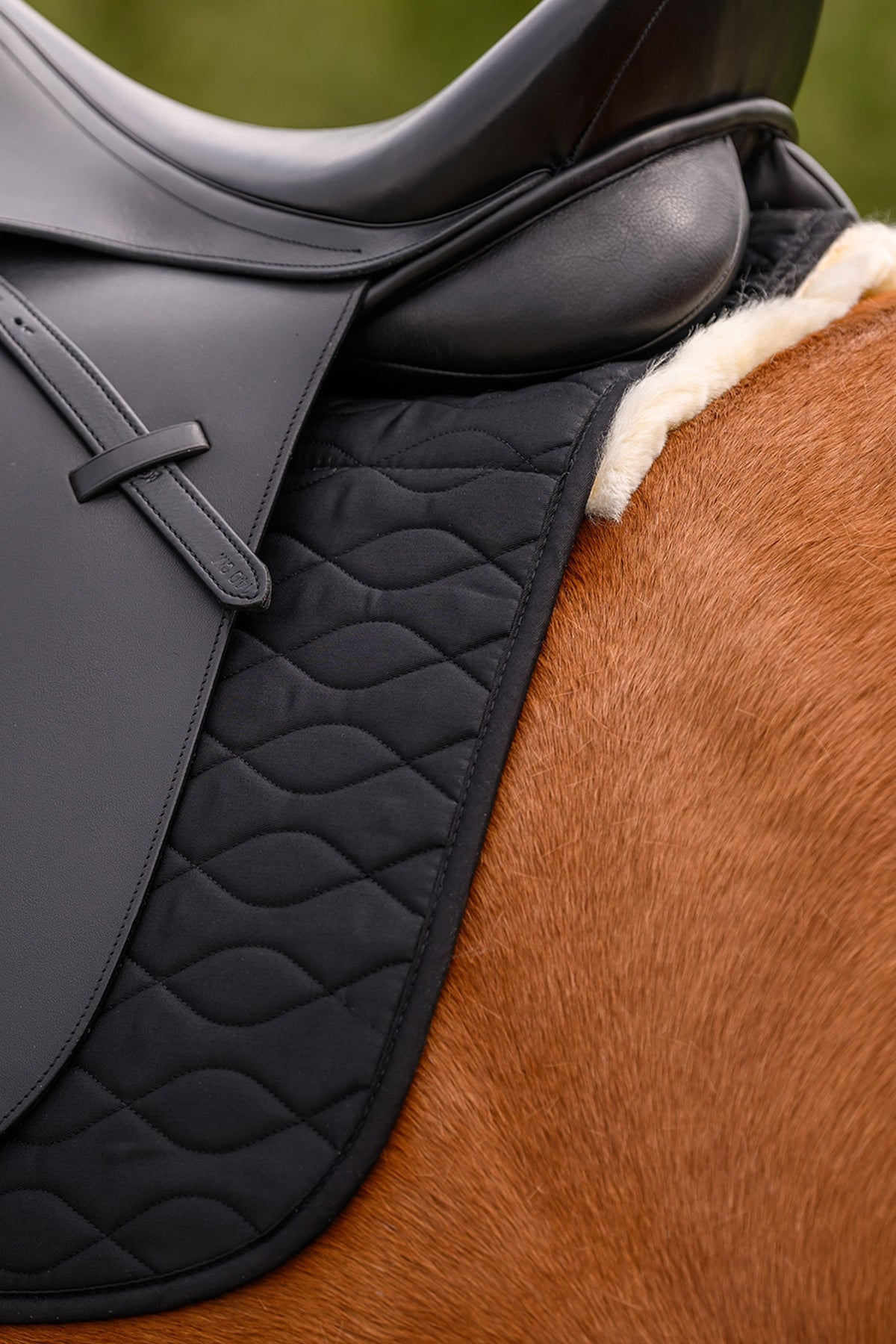 Waldhausen Milan Dressage Saddle Pad With Lambskin Saddle Pads