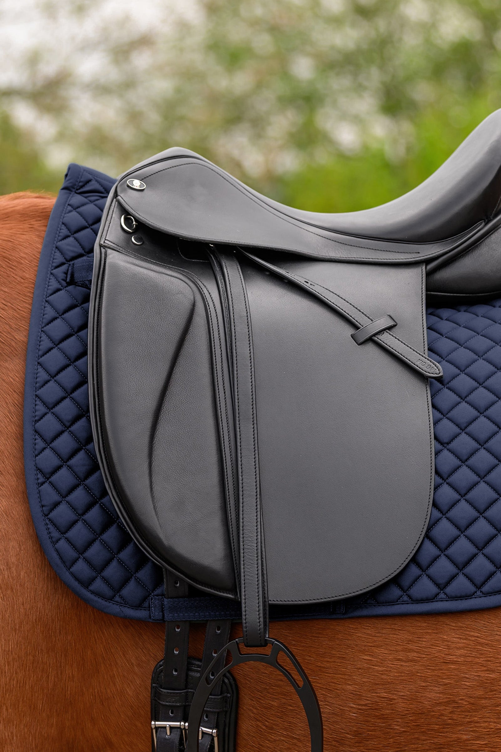 Waldhausen Felix Universal Dressage Saddle Pad Saddle Pads