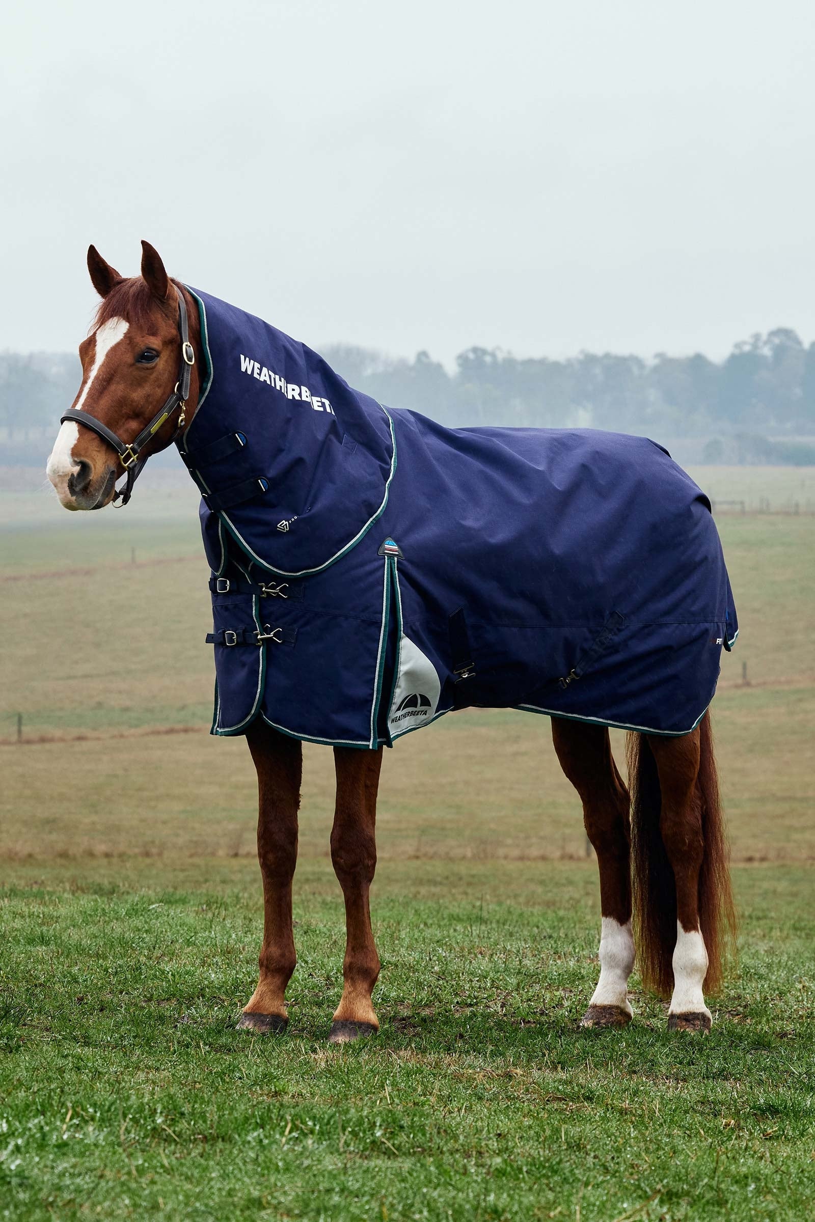 Weatherbeeta ComFiTecPlus Dynamic Turnout Detach-A-Neck 220G Mantas Caballo