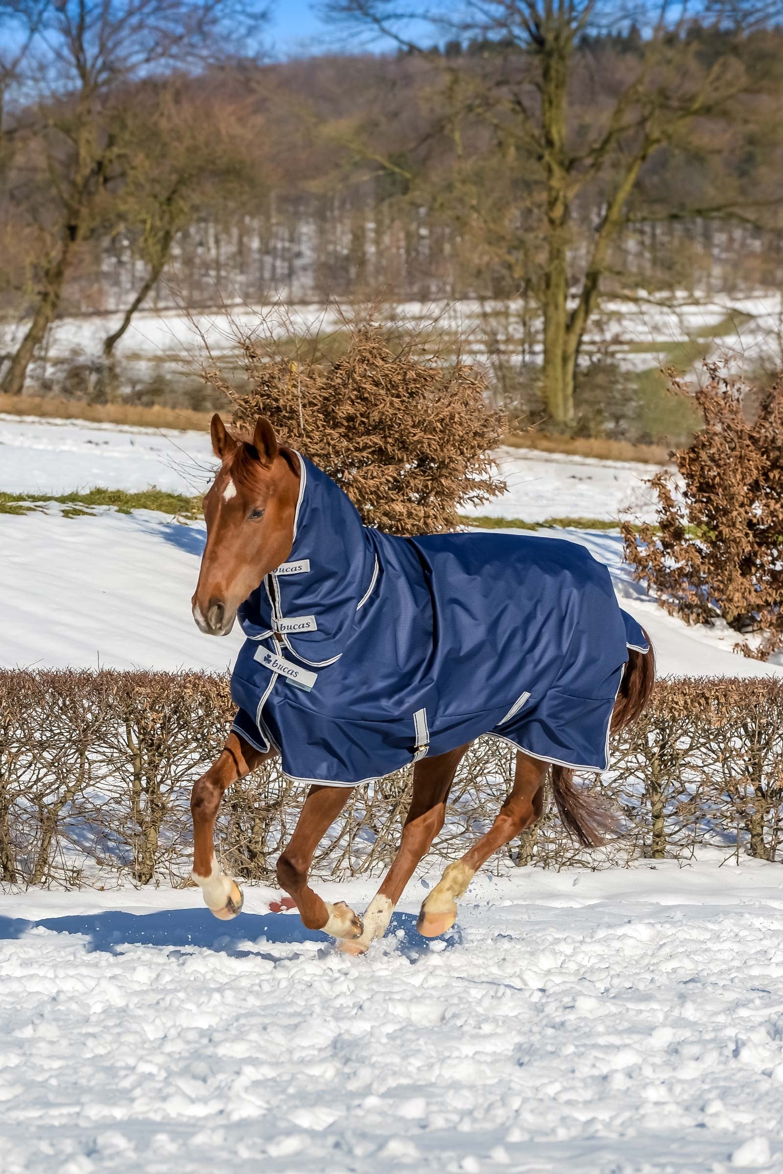 Bucas Freedom Manta de exterior con cuello completo fijo (150g / 150g) Mantas Caballo