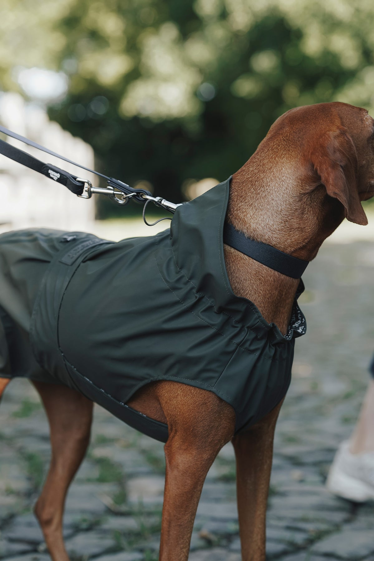 Eskadron Hunter x ESKADRON RAINSHIELD Dog Raincoat Dog Accesories