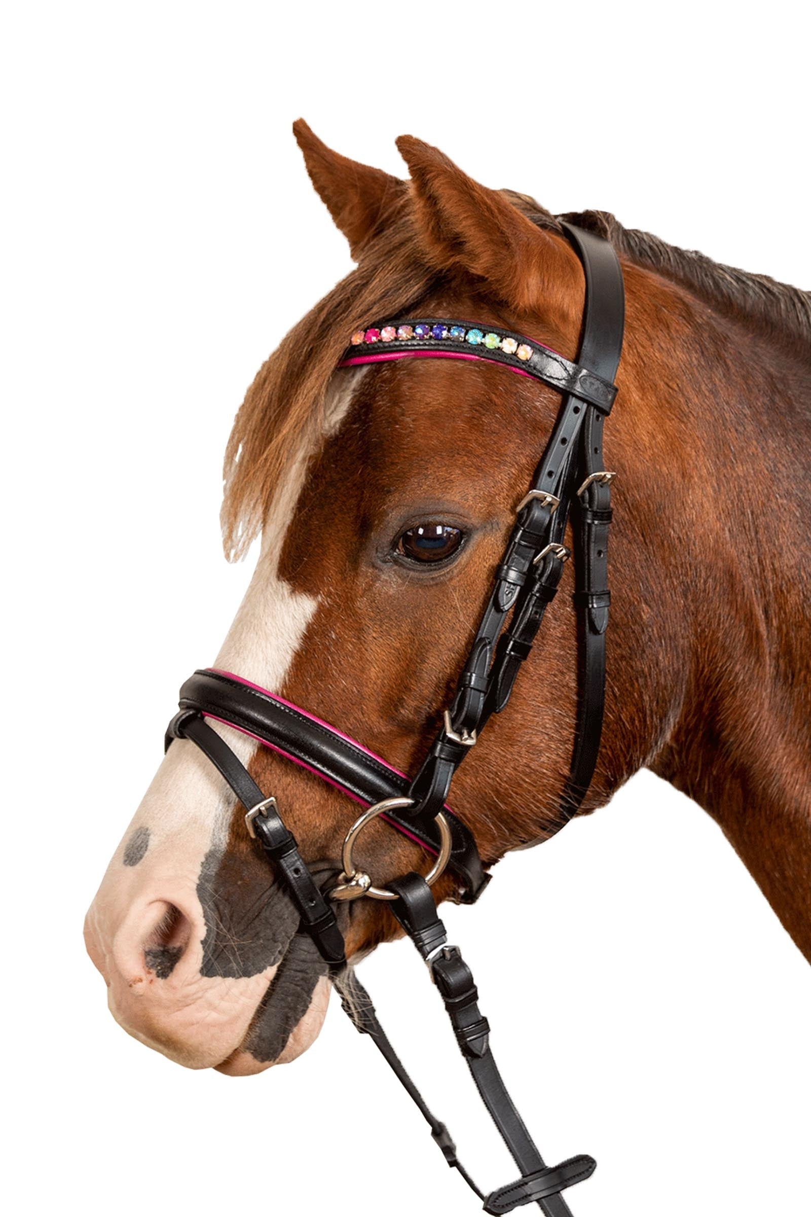 Star Pinky Bridle With Combined Noseband Bridles & Reins