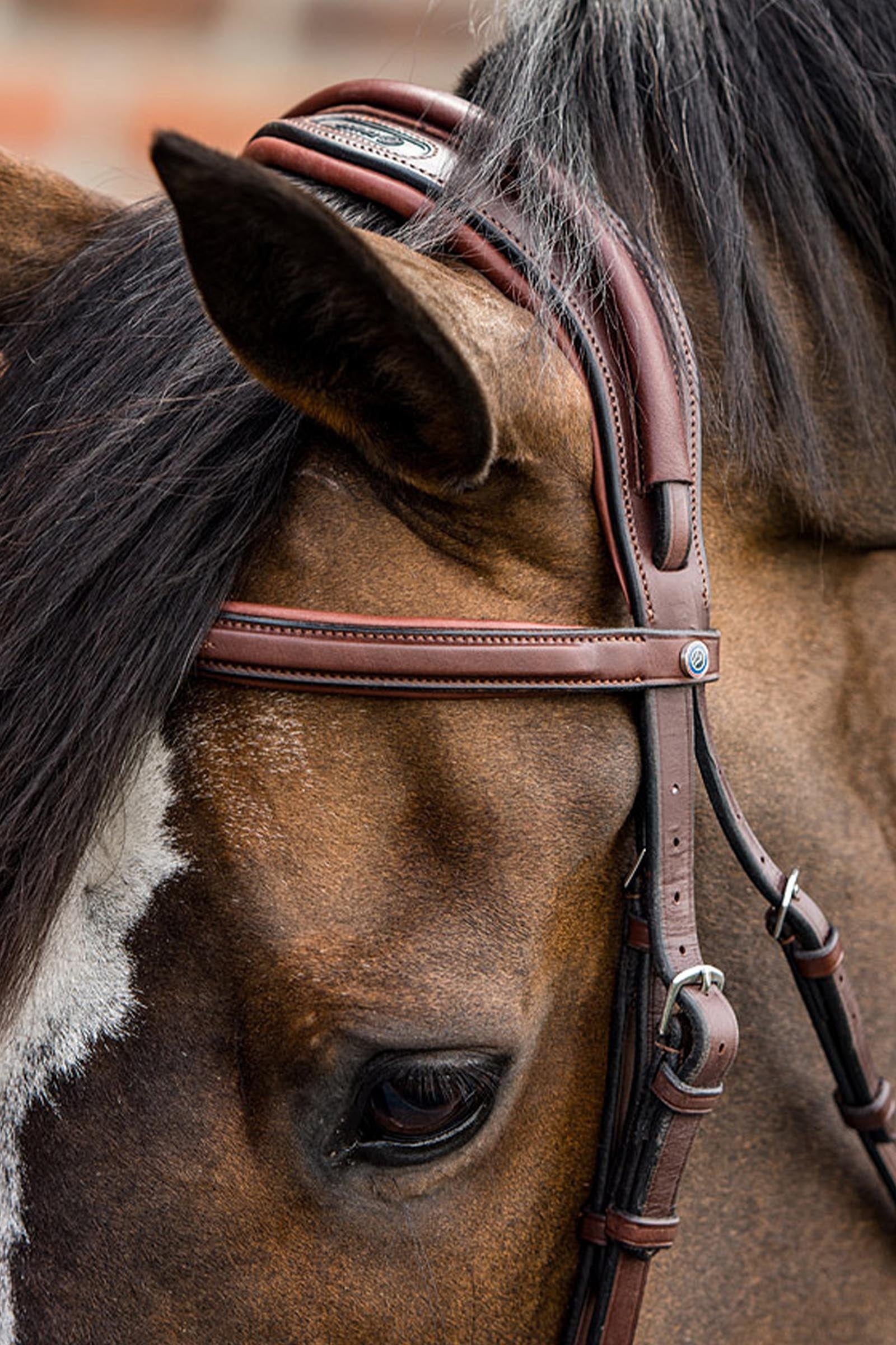 Trust Equestrian Geneva Combined Noseband Bridle Bridles & Reins