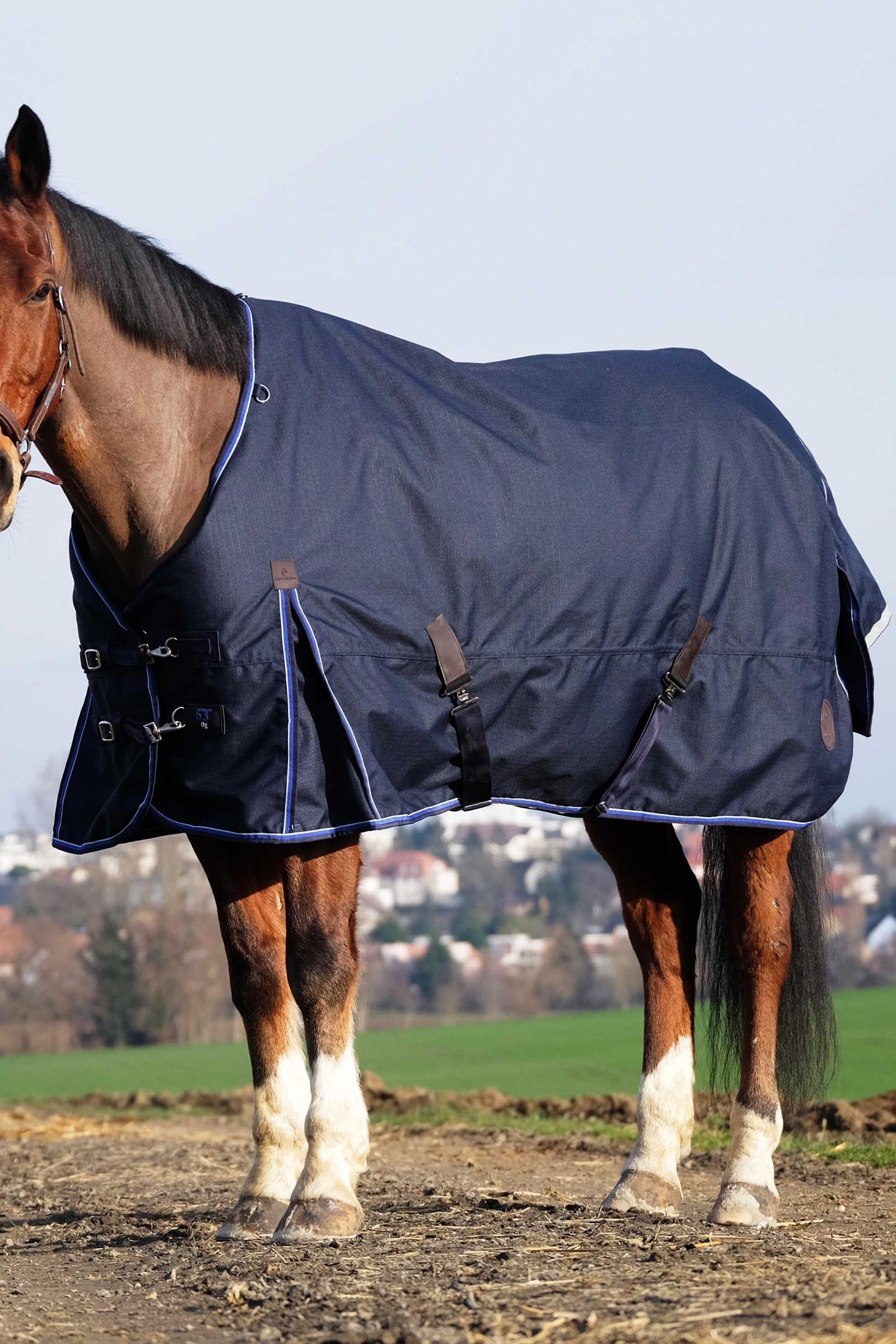Equi Theme EQUITHÈME Classic 1200D Turnout Rug, 0 g Horse Rugs