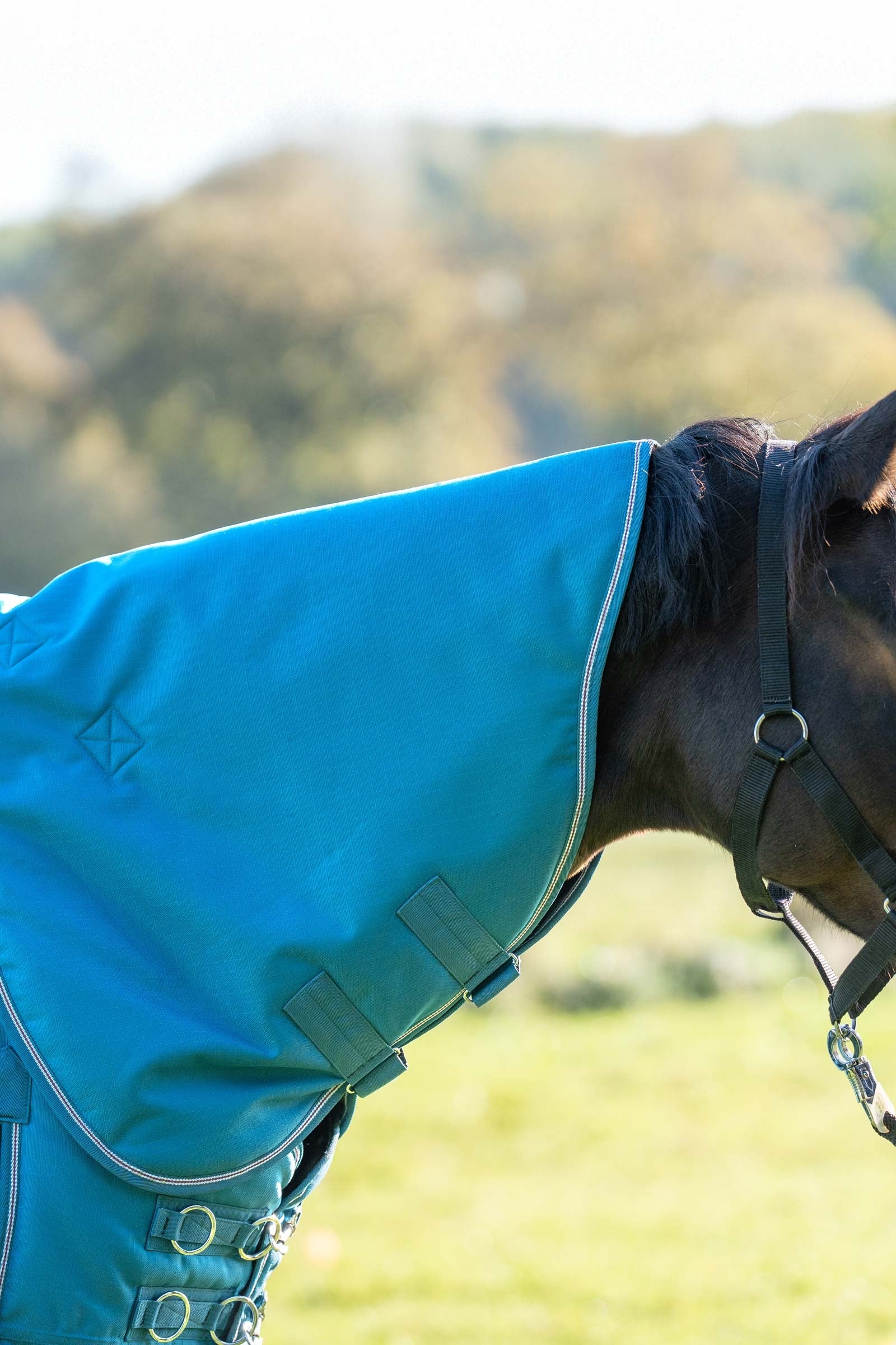 Kavalkade Cuello para Alaska IV, 100 g Mantas Caballo