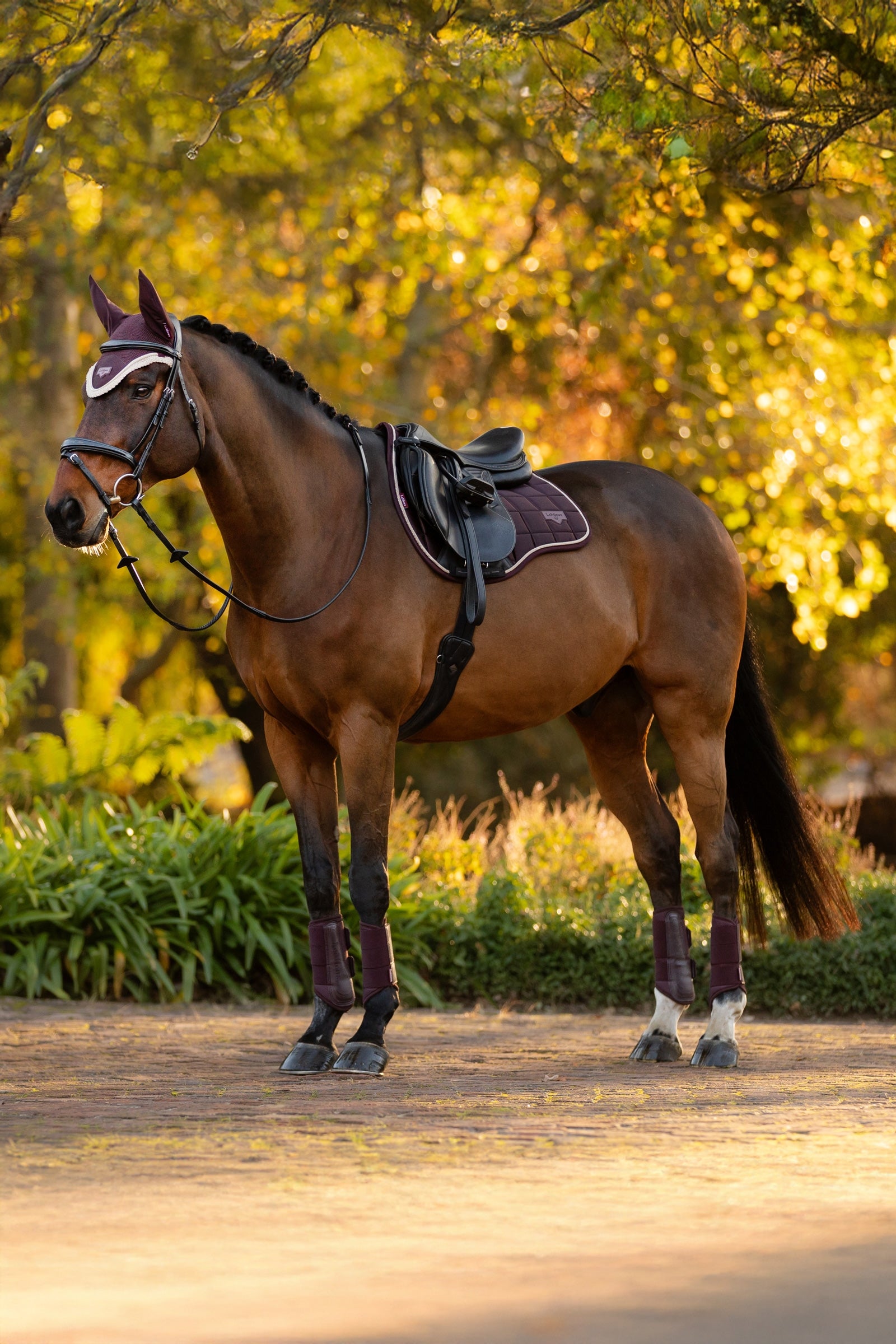 LeMieux Loire Classic Square All Purpose Saddle Pad Saddle Pads
