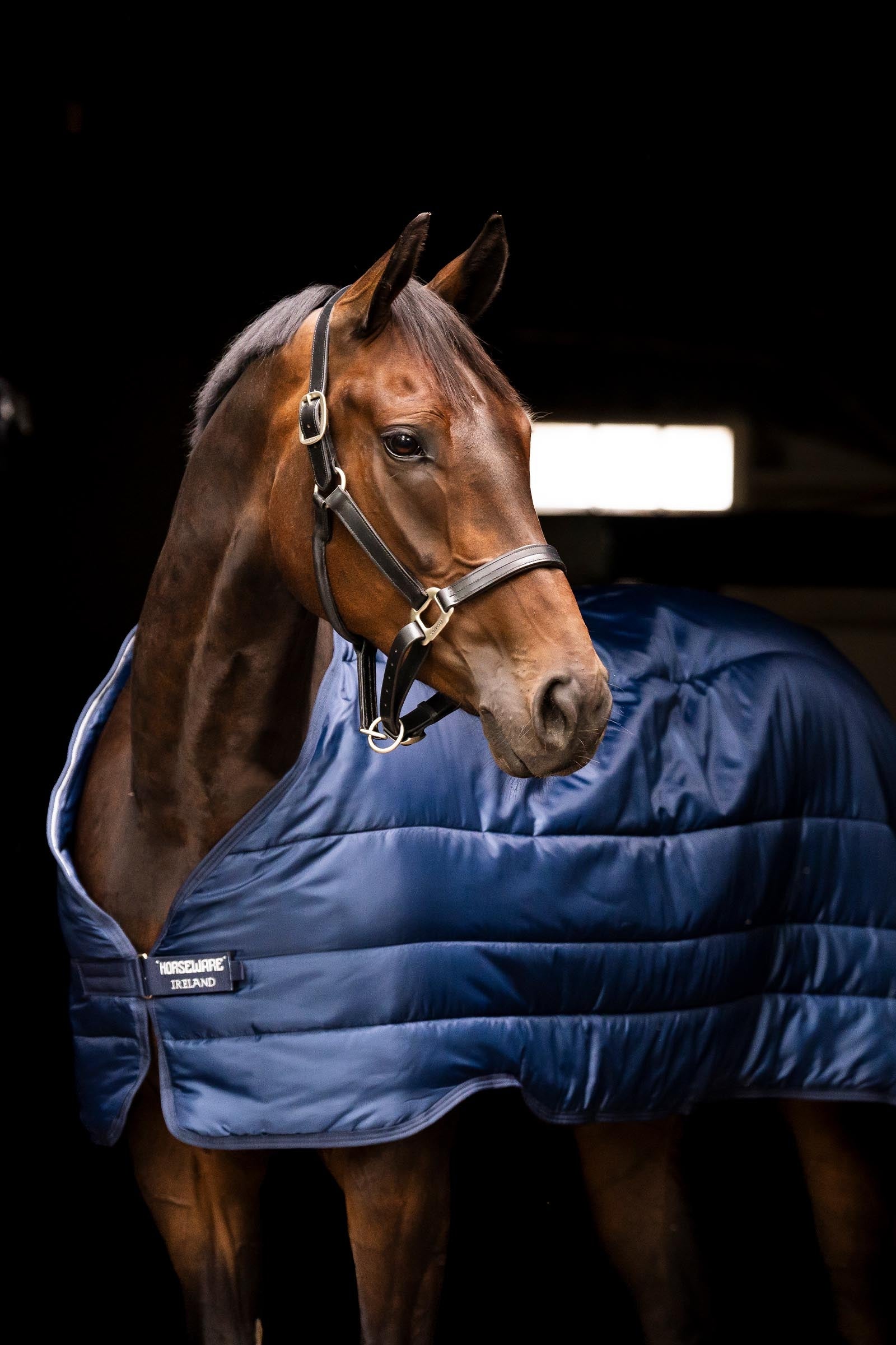Horseware Liner 300g Horse Rugs
