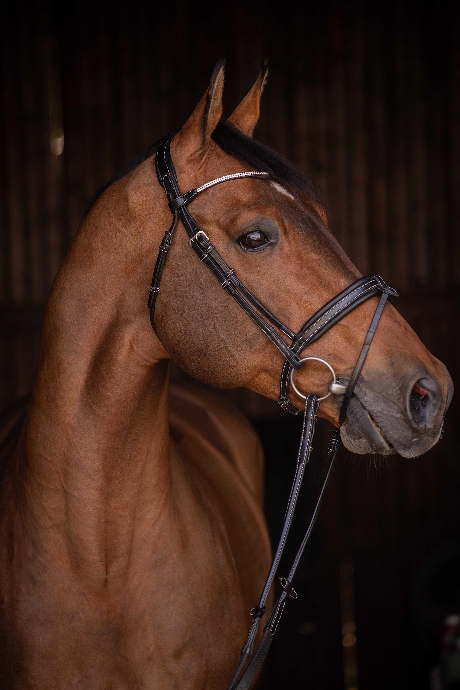 PENELOPE Daily Strass Bridle Bridles & Reins