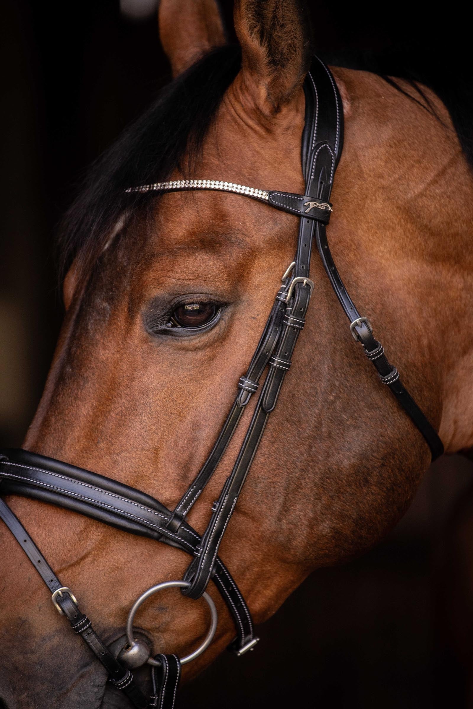 PENELOPE Daily Strass Bridle Bridles & Reins