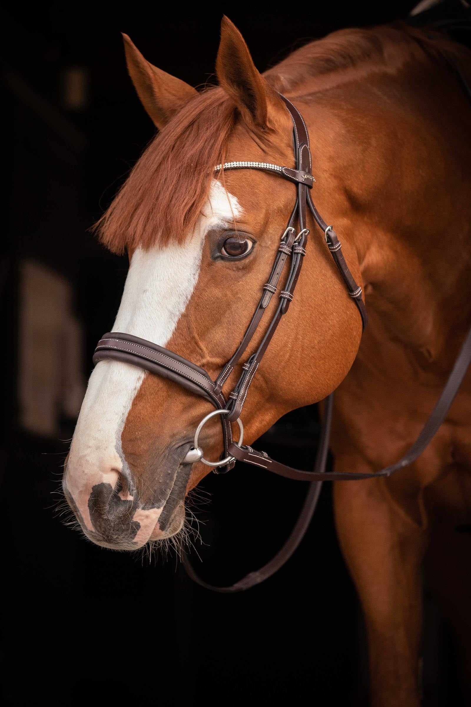 PENELOPE Daily Strass Bridle Bridles & Reins