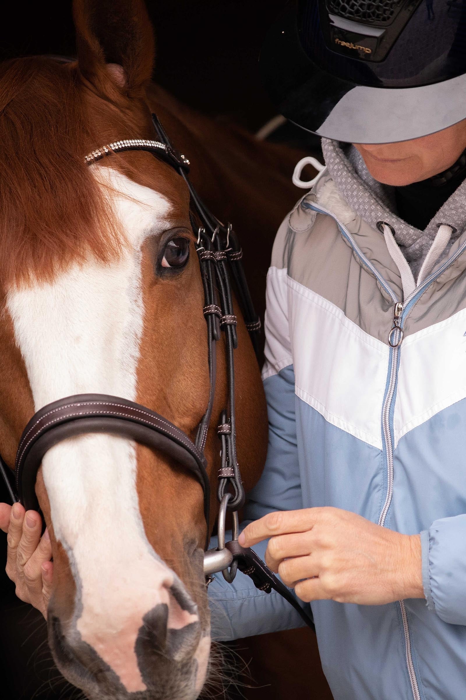 PENELOPE Daily Strass Bridle Bridles & Reins