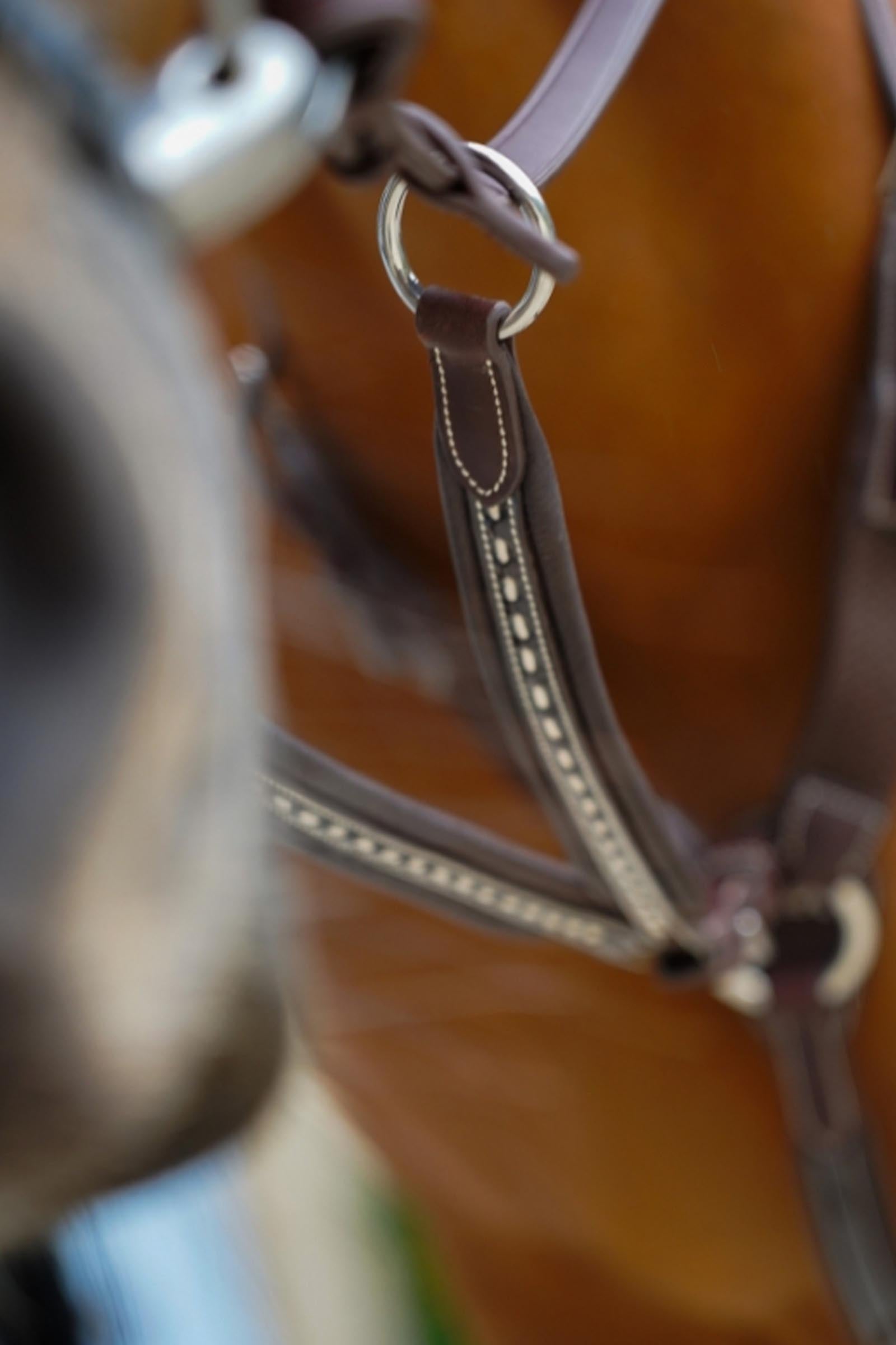 PENELOPE Point Sellier Martingale Fork Bridles & Reins