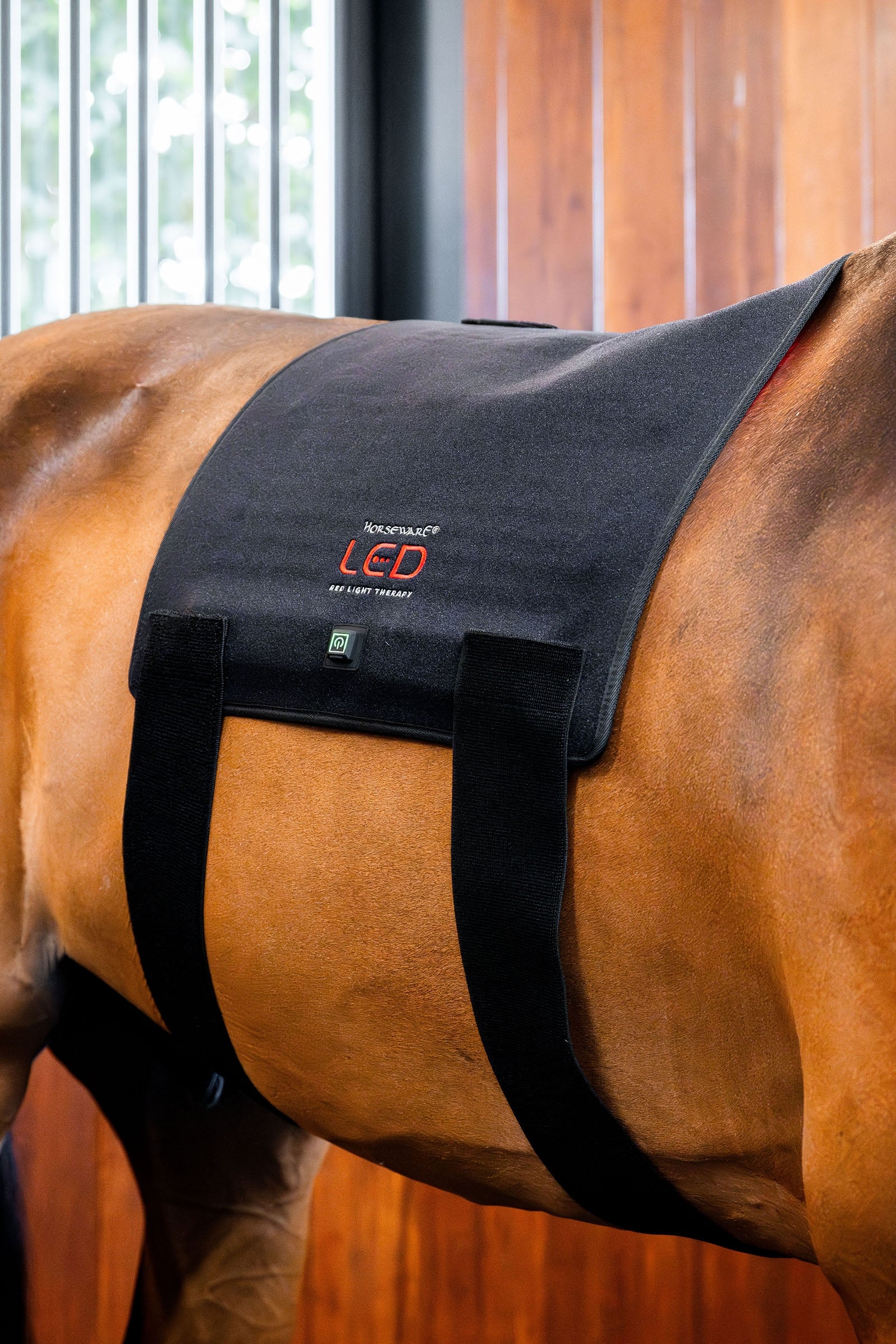 Horseware Pad terapéutico LED de luz roja Mantas Caballo