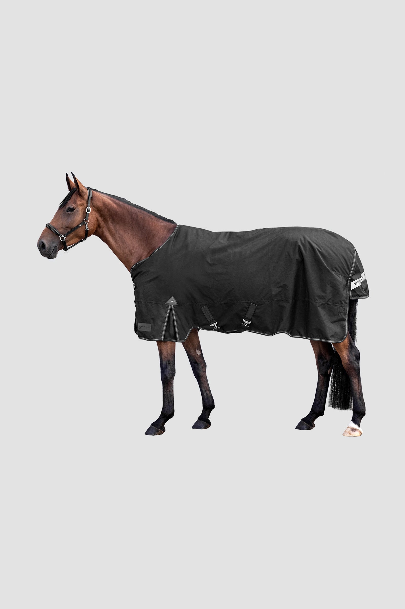 Waldhausen Outdoor Rug Arctic 300 g Mantas Caballo