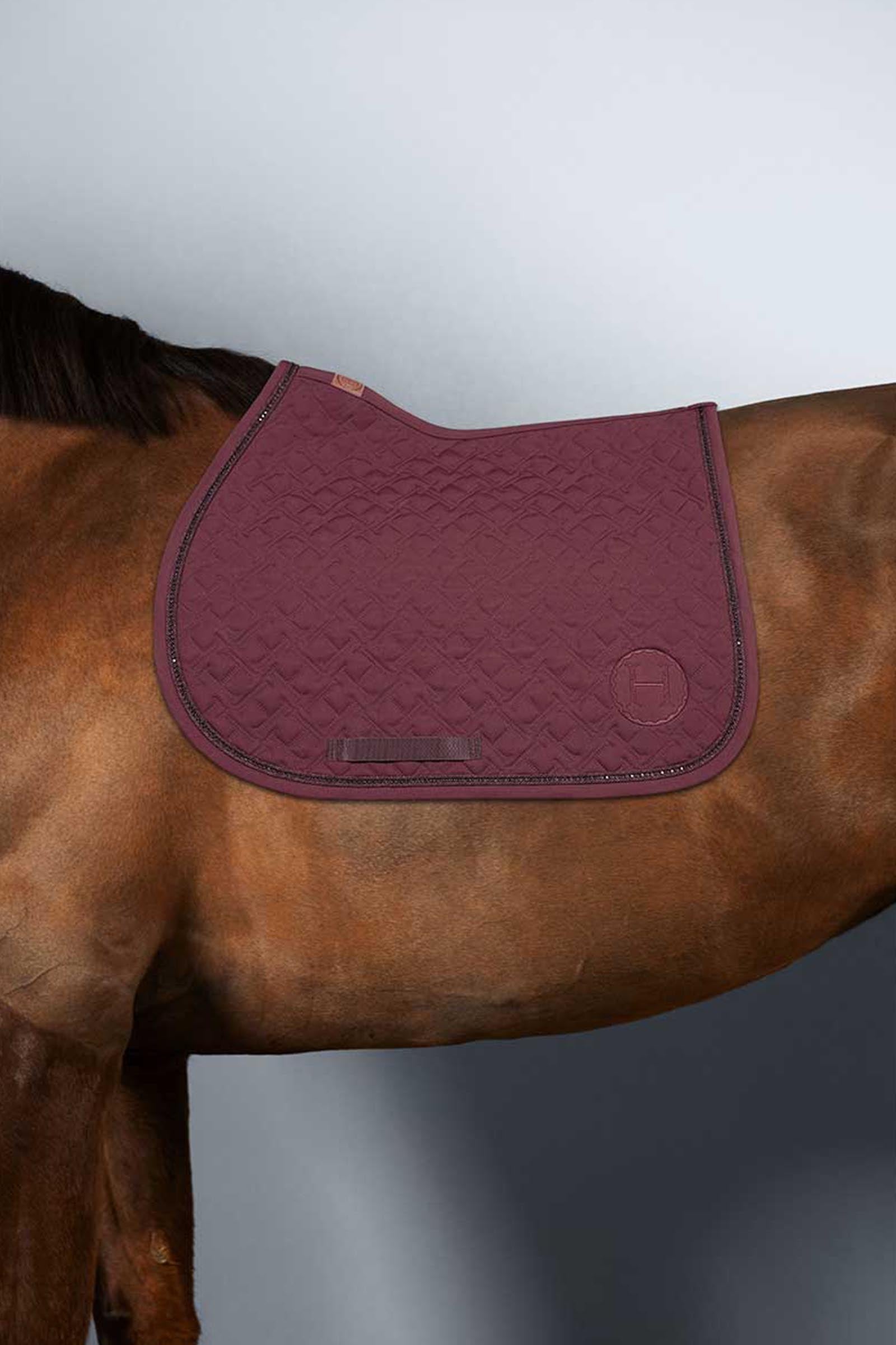 Harcour Saphir mantilla pony Poni & Shetland