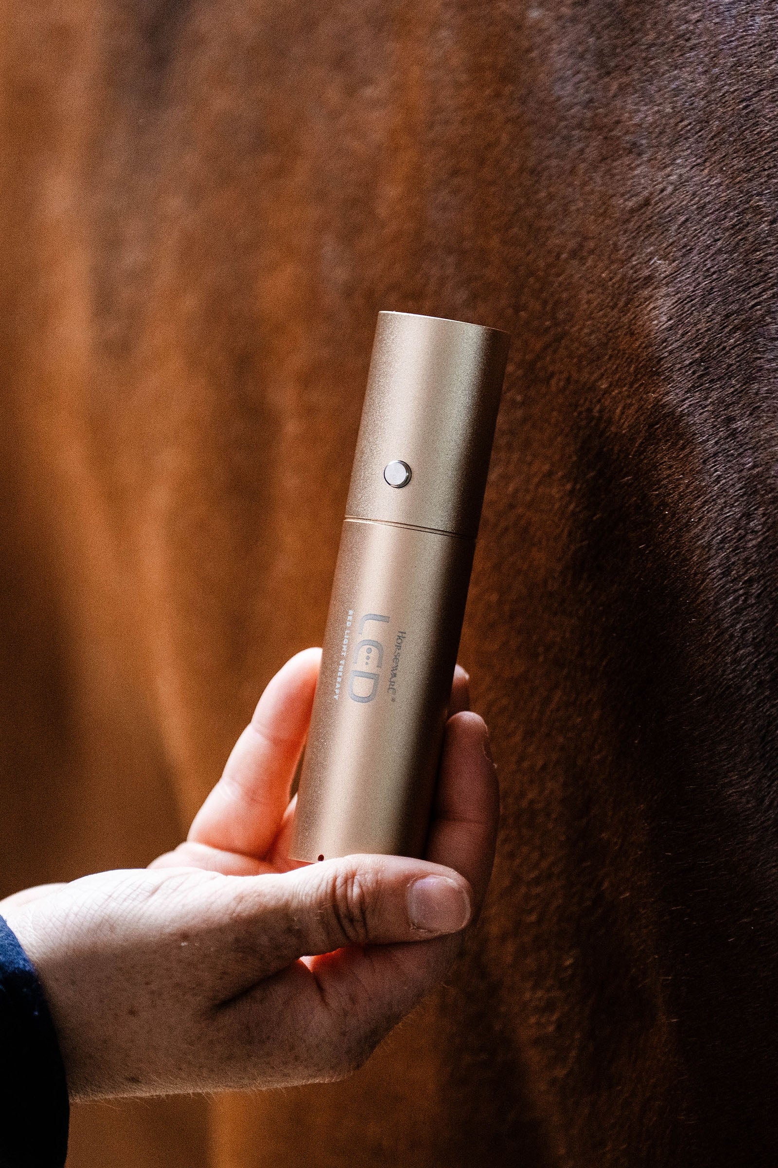 Horseware Varita terapéutica LED de luz roja Mantas Caballo