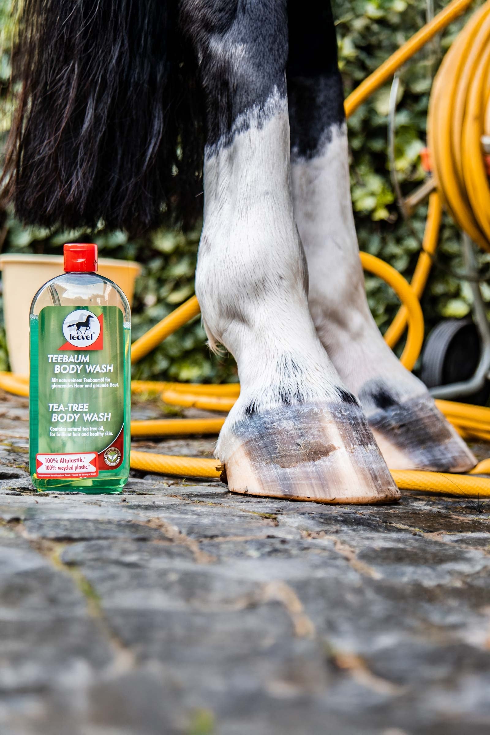 Leovet Tea-Tree Body Wash Horse Health Care