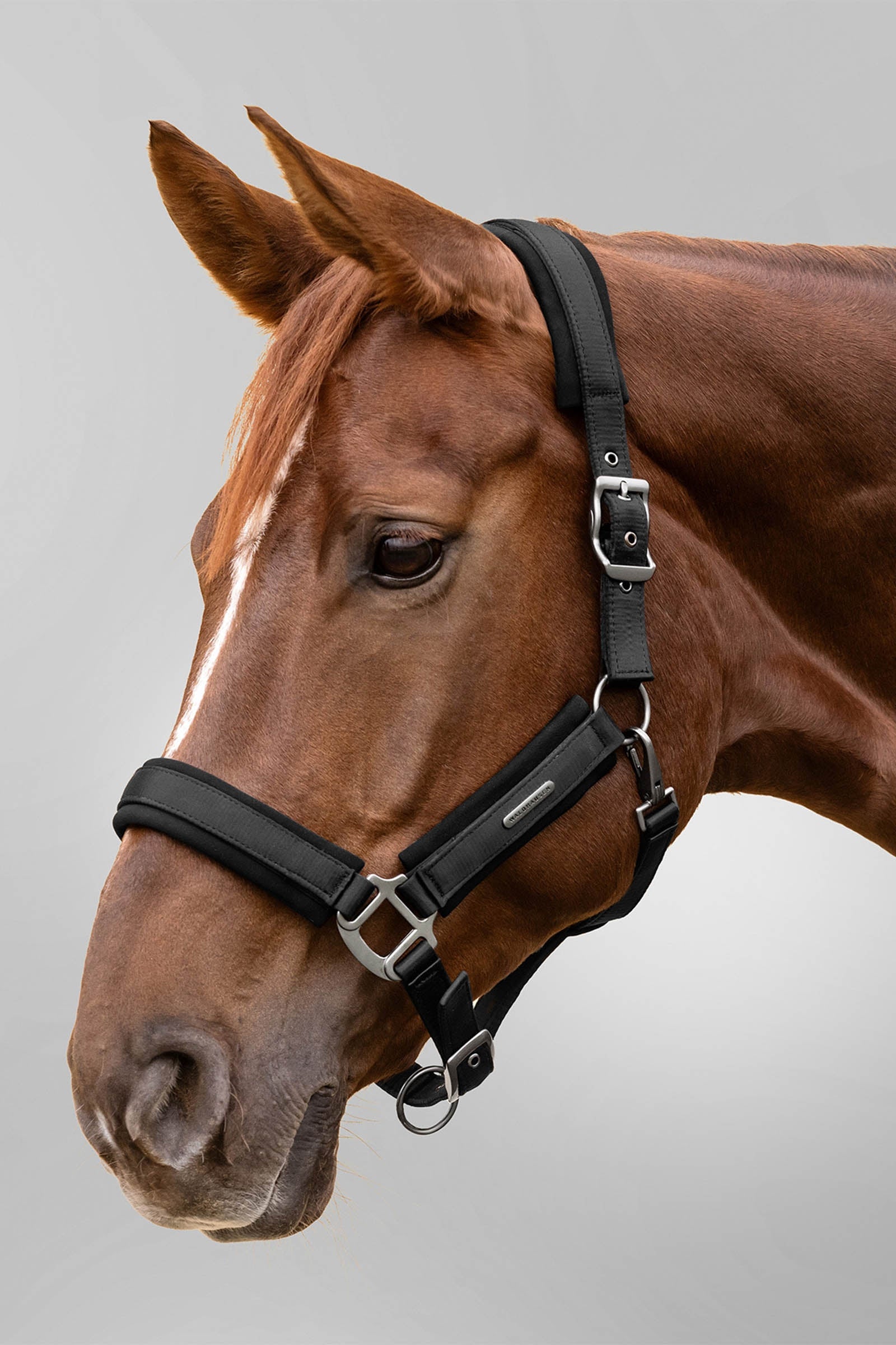 Waldhausen Soft Touch Halter Halters & Leads