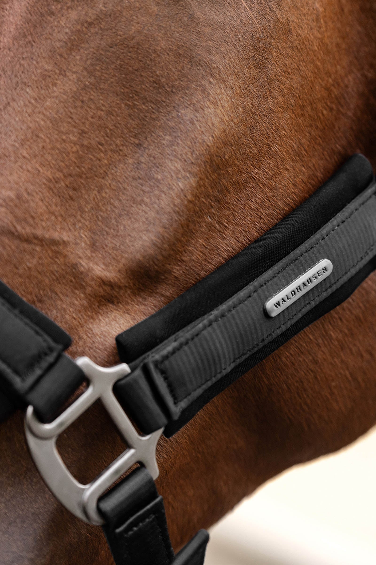 Waldhausen Soft Touch Halter Halters & Leads