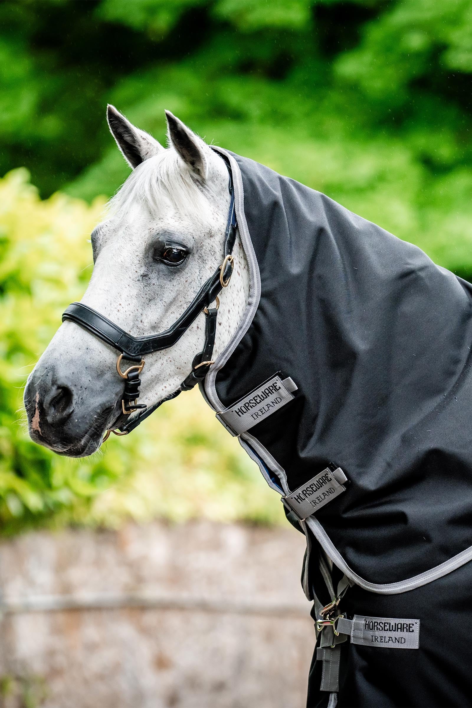 Horseware Amigo Bravo 12 Plus 100g Horse Rugs