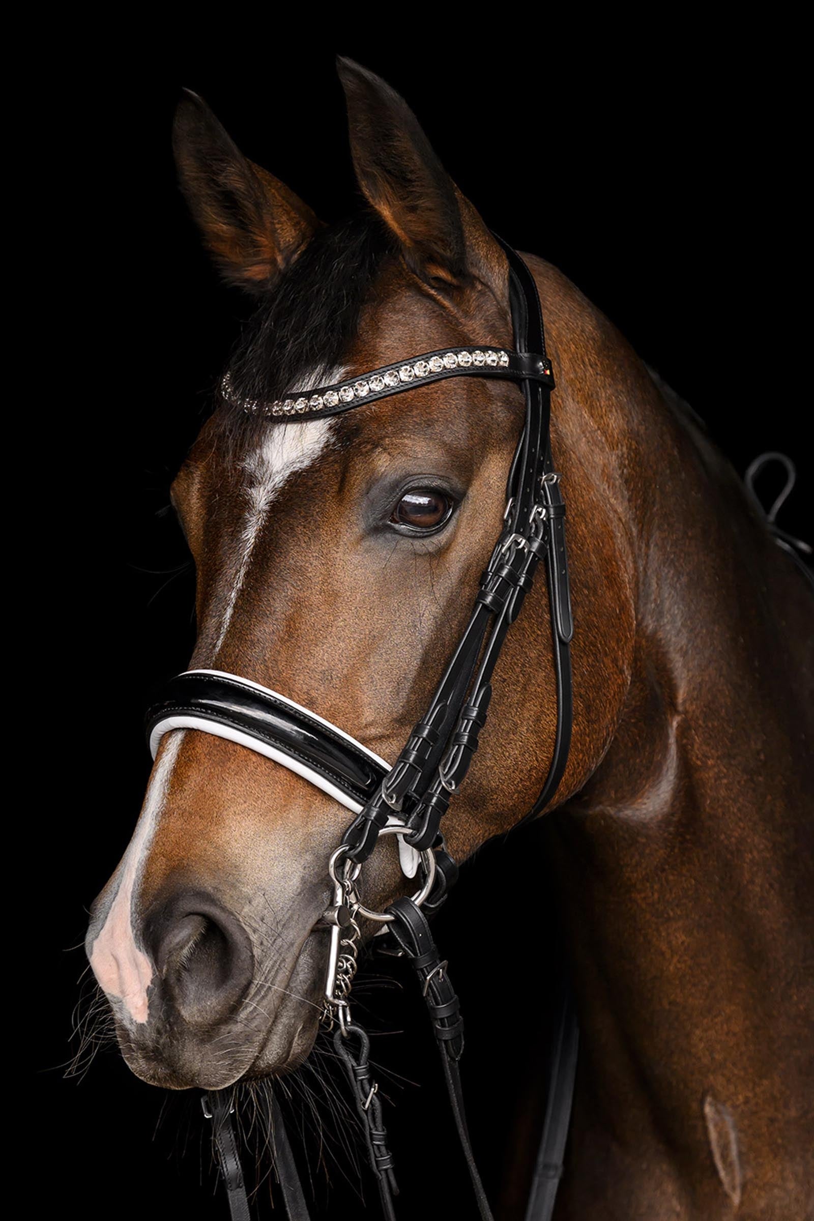 Waldhausen Evermore Weymouth Bridle, Pullback Bridles & Reins