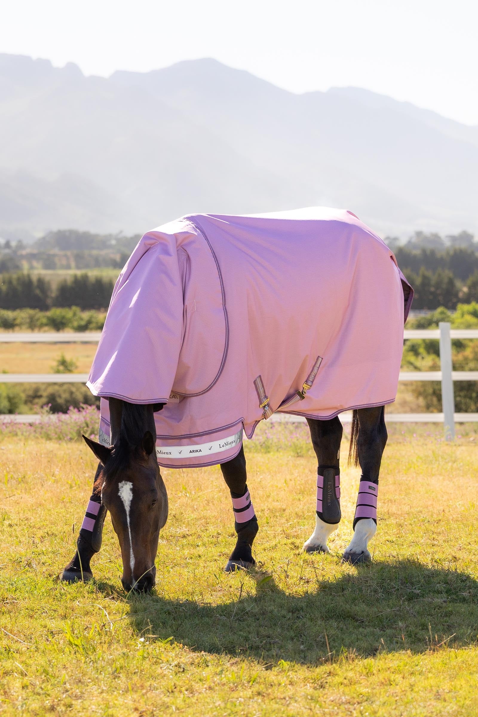 LeMieux Arika Ripstop Turnout Rug With Detachable Neck, 50g Horse Rugs