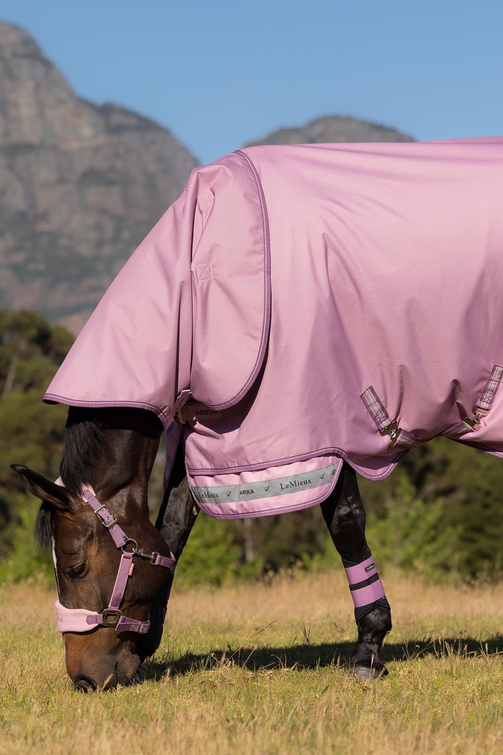 LeMieux Arika Ripstop Turnout Rug With Detachable Neck, 50g Horse Rugs
