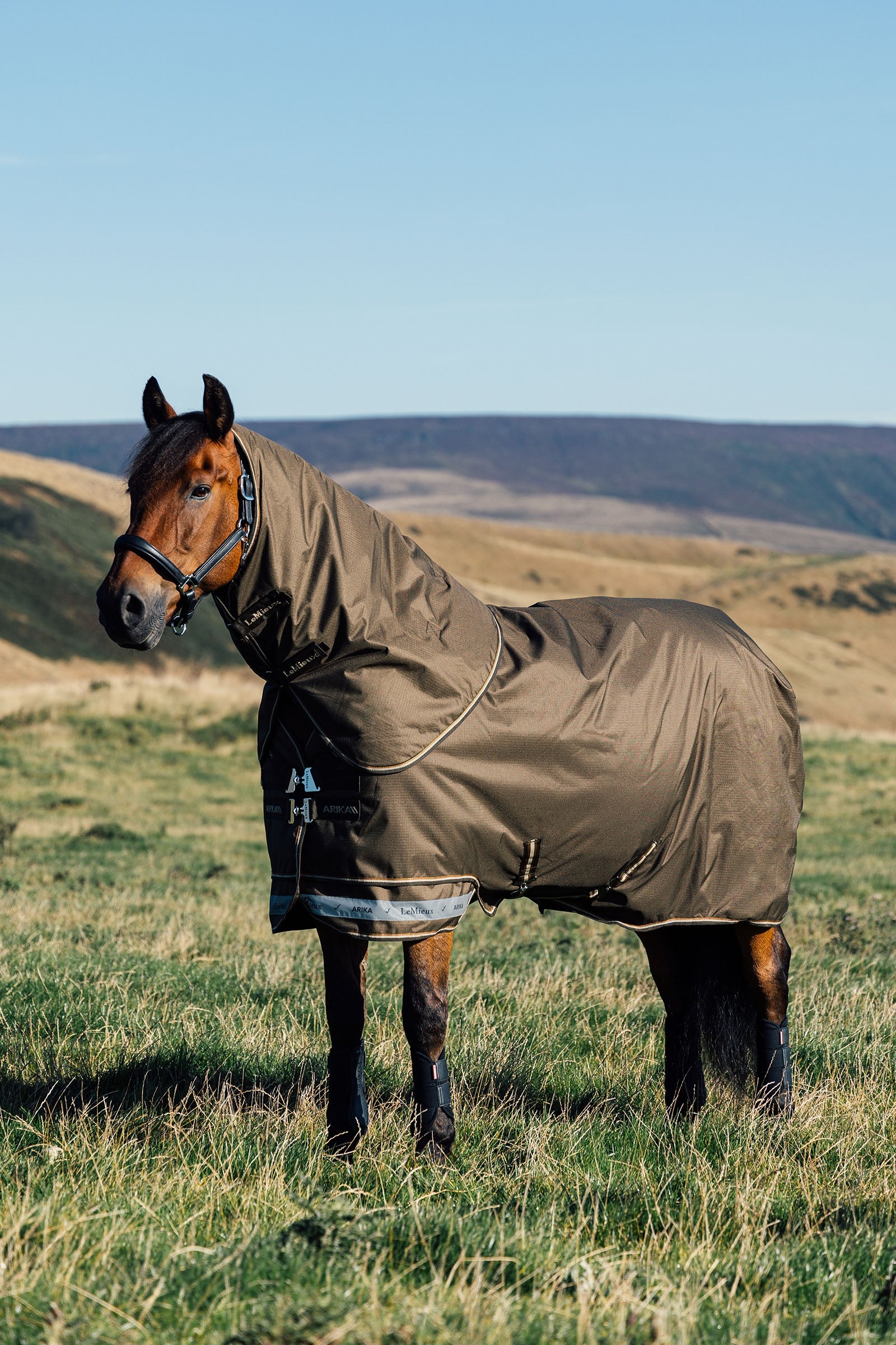 LeMieux Arika Ripstop Turnout Rug 50g Horse Rugs