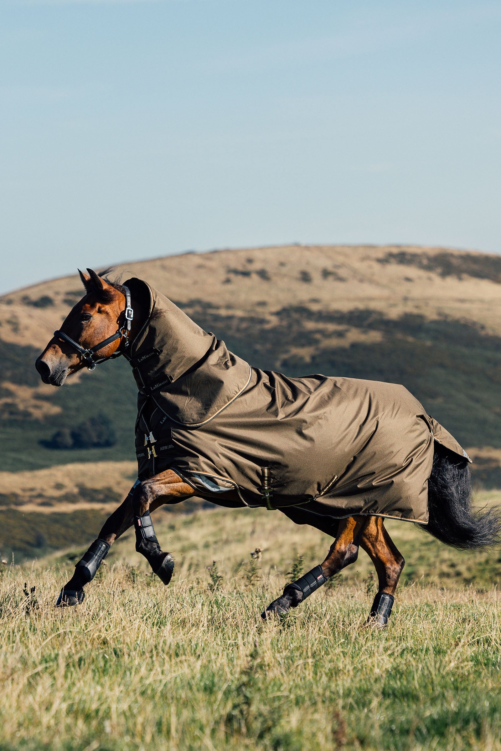 LeMieux Arika Ripstop Turnout Rug 50g Horse Rugs