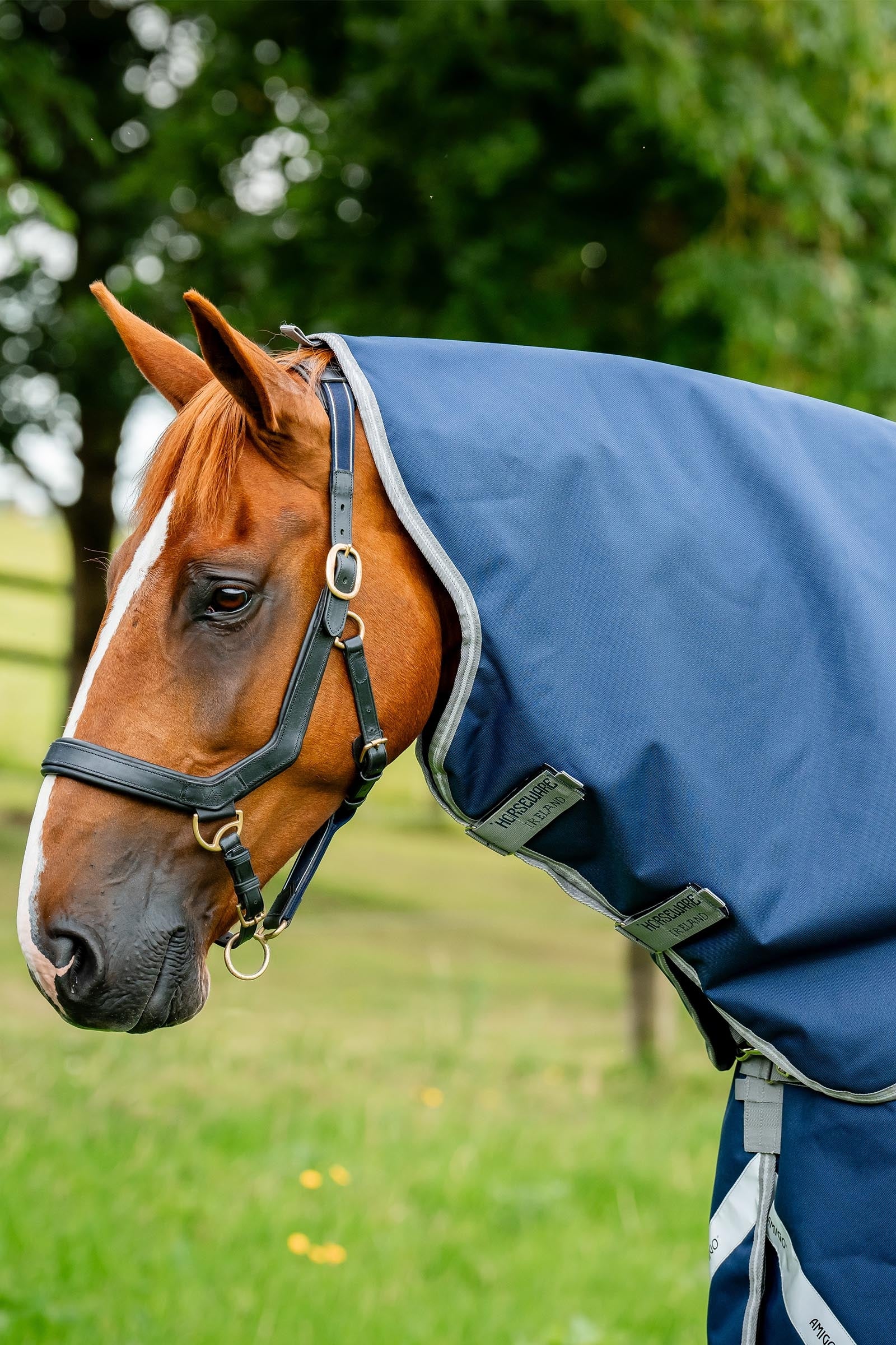 Horseware Amigo 1200D Capucha 150g Mantas Caballo