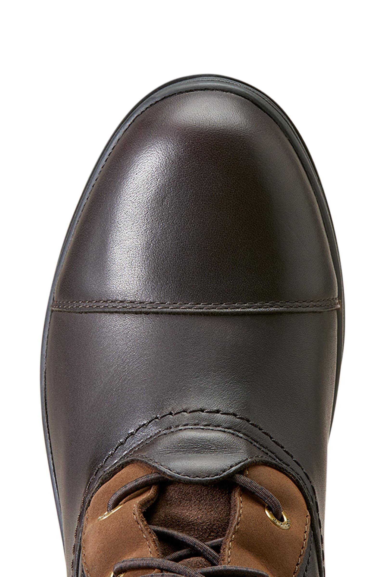 Ariat Coniston Max Waterproof Insulated Womens's Boots Riding Boots & Riding Shoes