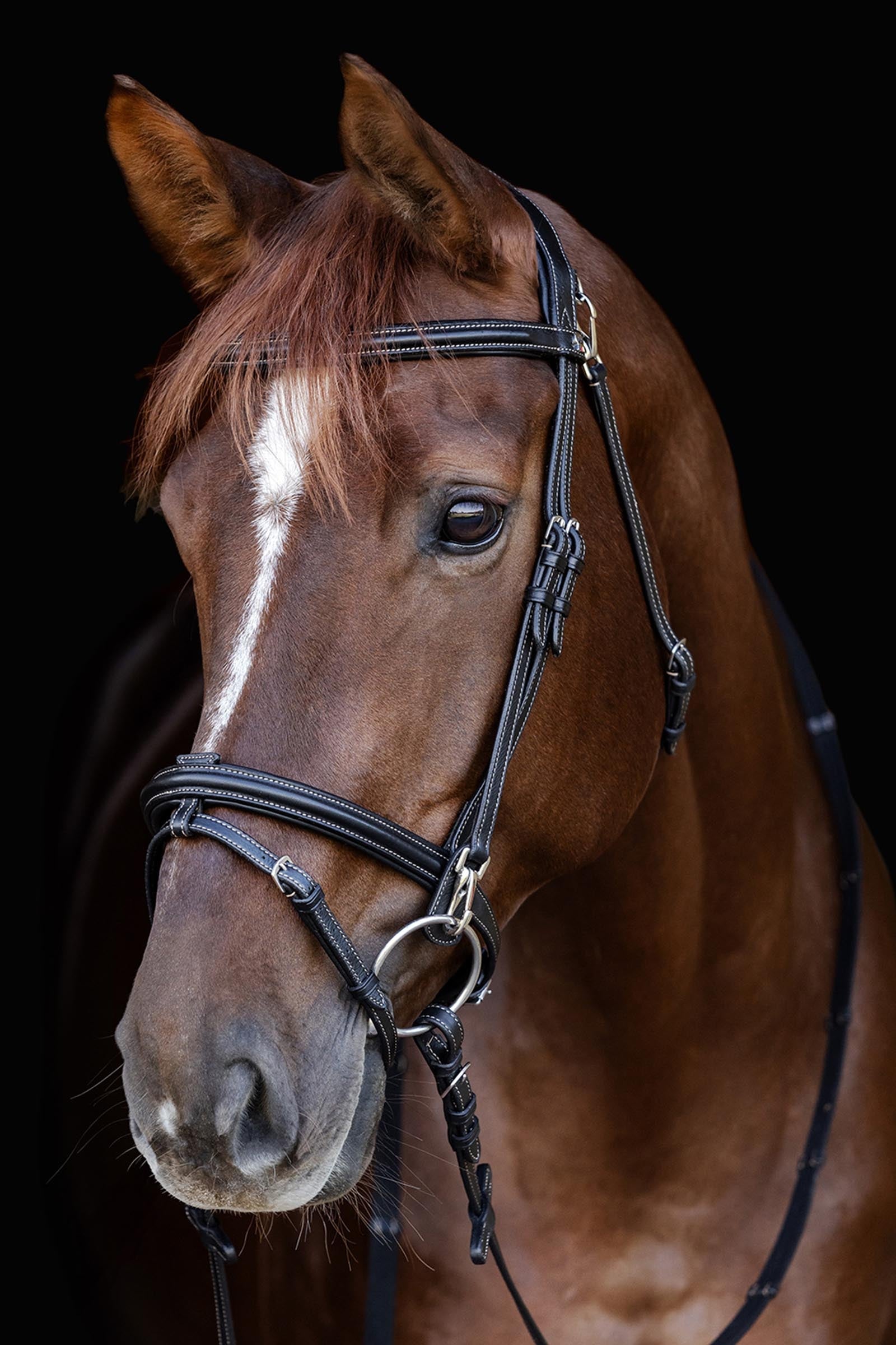 Waldhausen Work X-Line Snaffle Bridle Bridles & Reins