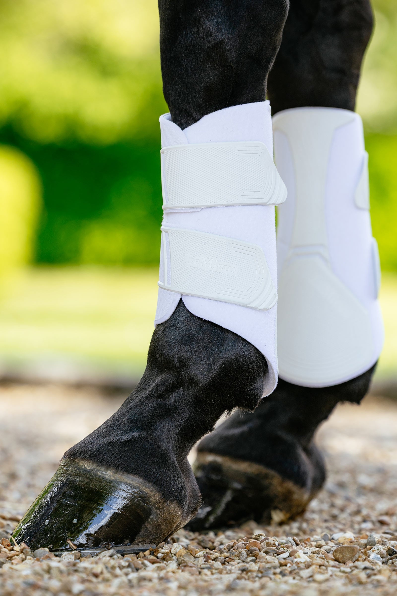 LeMieux Technical protectores doma Leg Protection & Hoof Protection for Horses