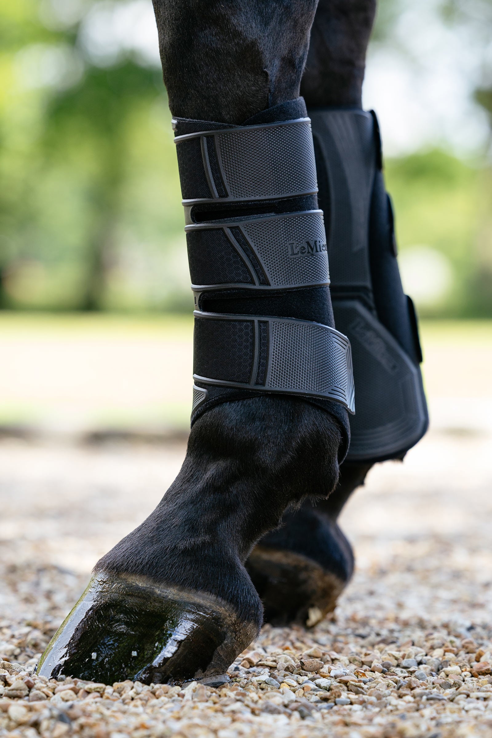 LeMieux Technical protectores doma Leg Protection & Hoof Protection for Horses